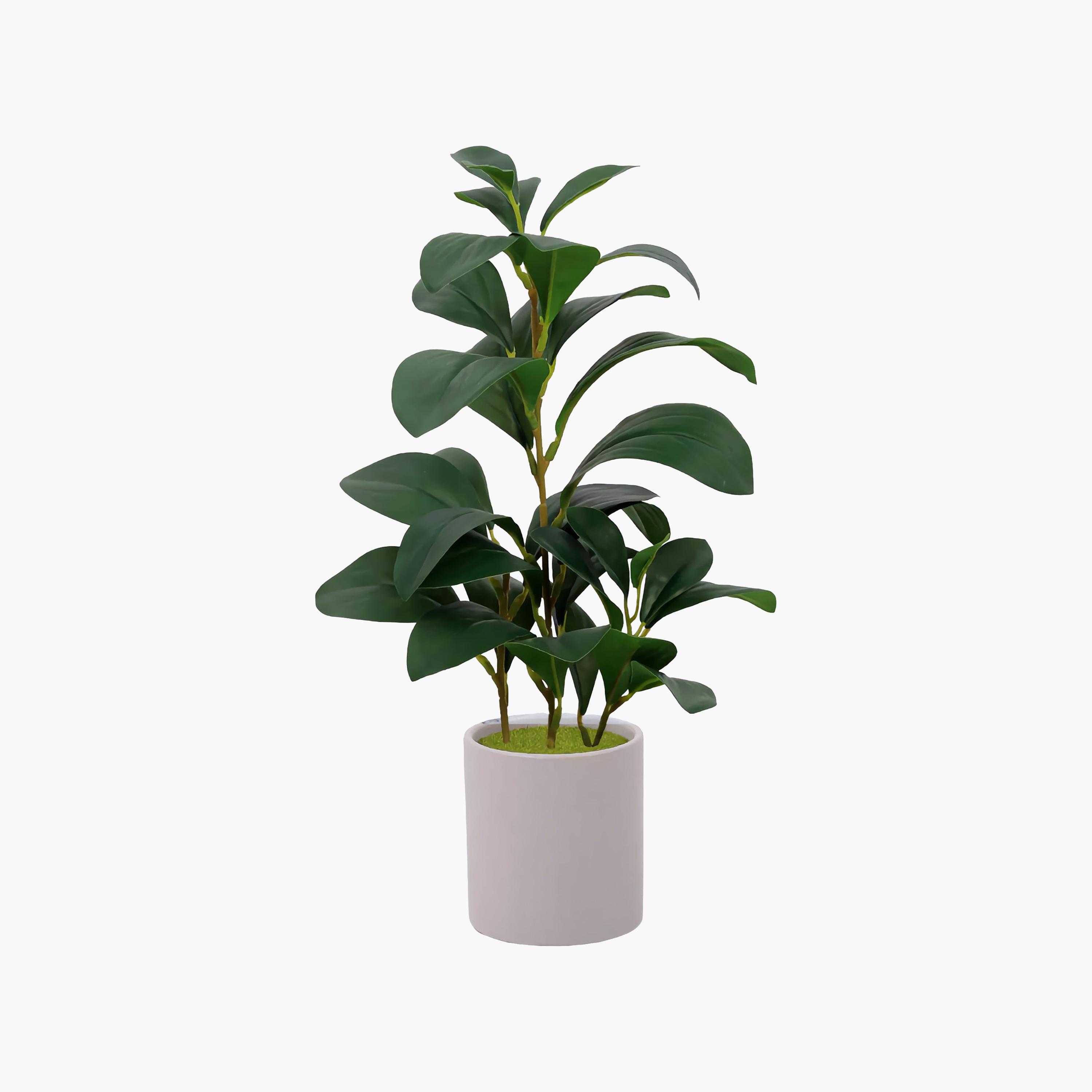 نبتة ليمون صناعية بلون الكريمه مع أصيص سيراميك من ماريا هومز-household-gardenandoutdoor-artificialflowersandplants-flowers-image-2