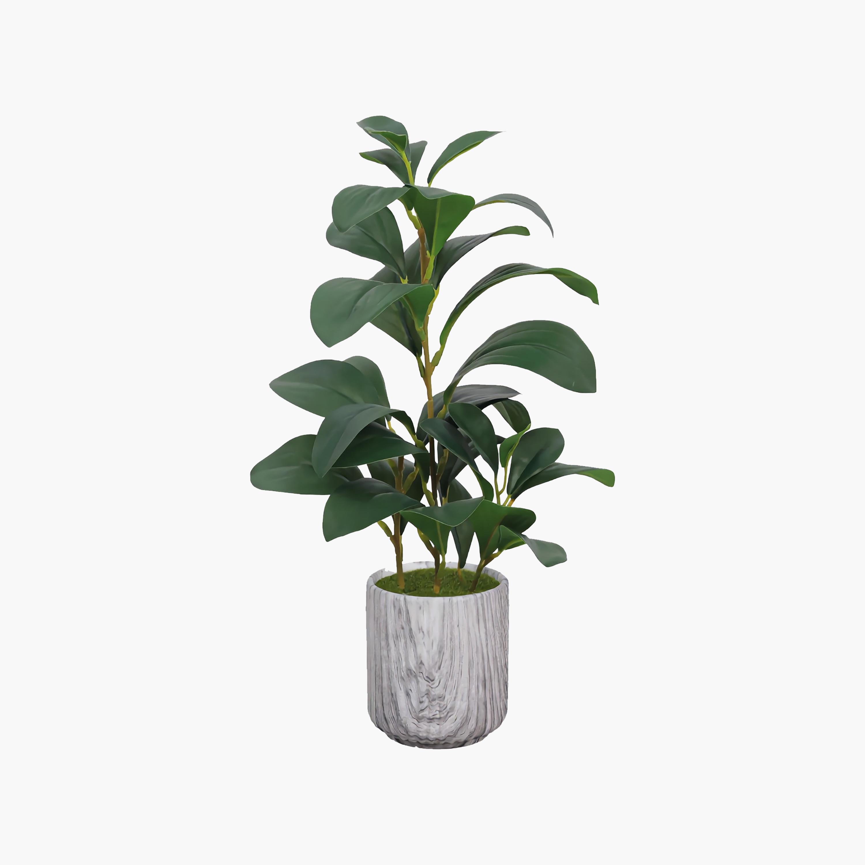 Maria Homes Multicolour Artificial Lemon Plant with Ceramic Pot-household-gardenandoutdoor-artificialflowersandplants-flowers-image-2
