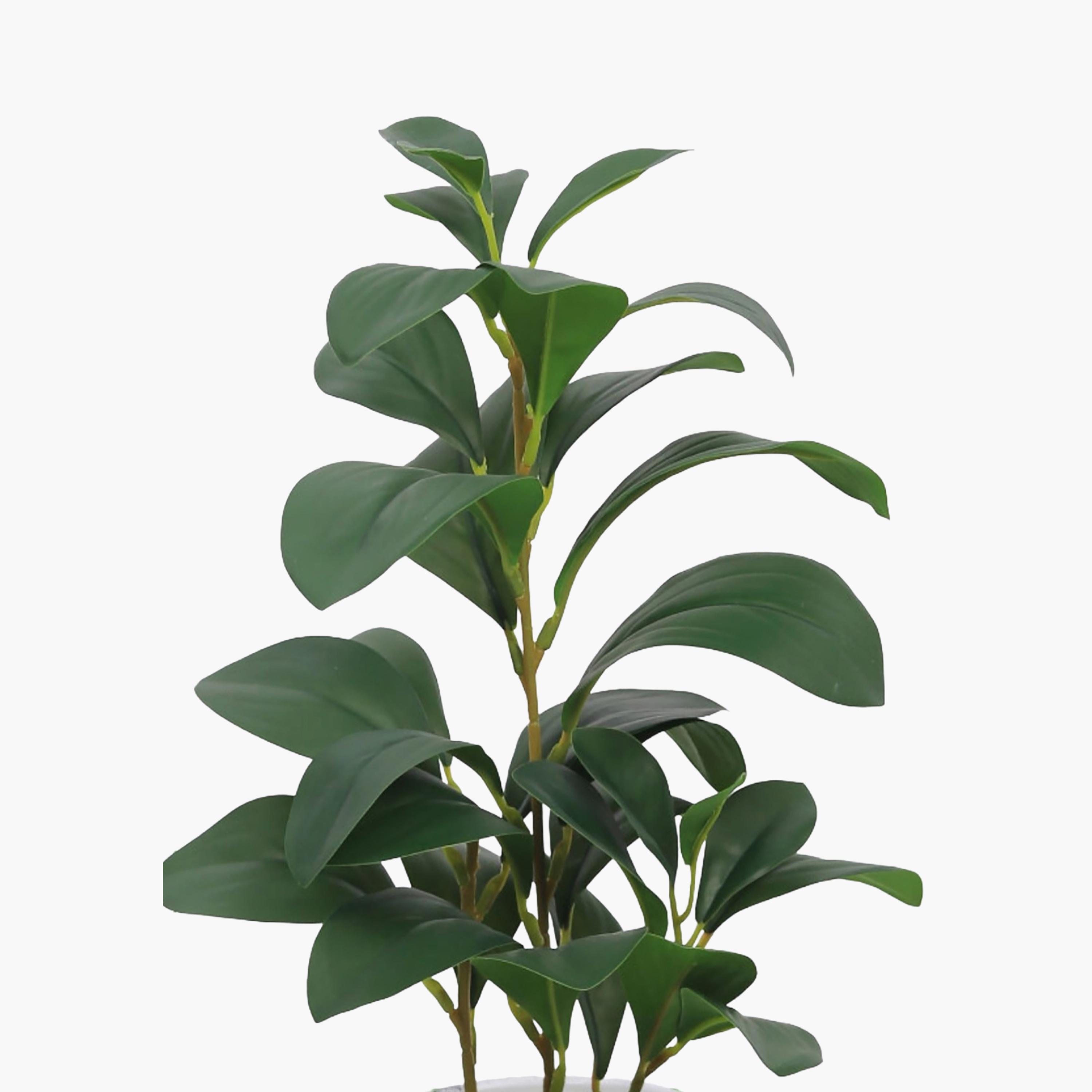 Maria Homes Multicolour Artificial Lemon Plant with Ceramic Pot-household-gardenandoutdoor-artificialflowersandplants-flowers-image-3