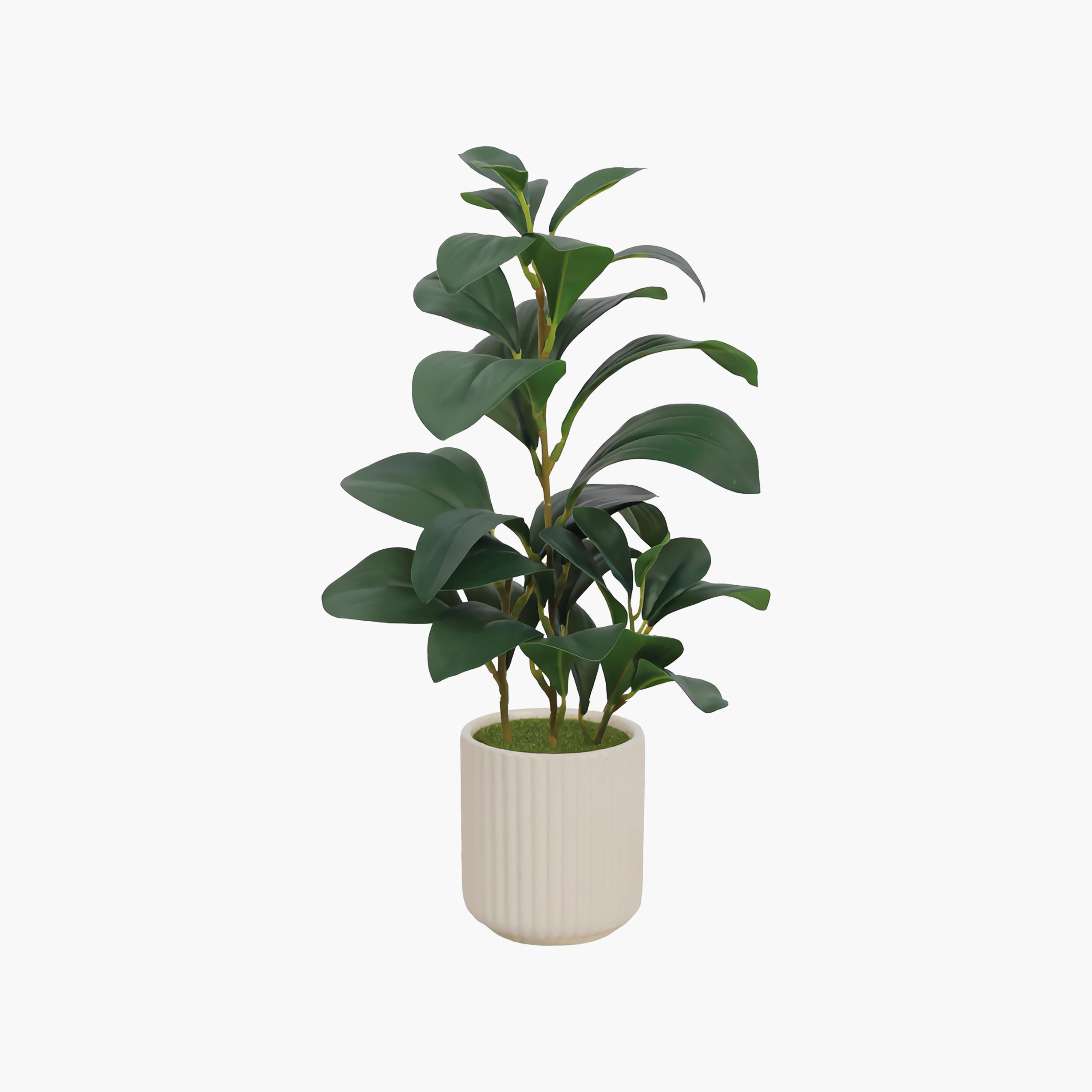 Maria Homes Beige Artificial Lemon Plant with Ceramic Pot-household-gardenandoutdoor-artificialflowersandplants-flowers-image-2