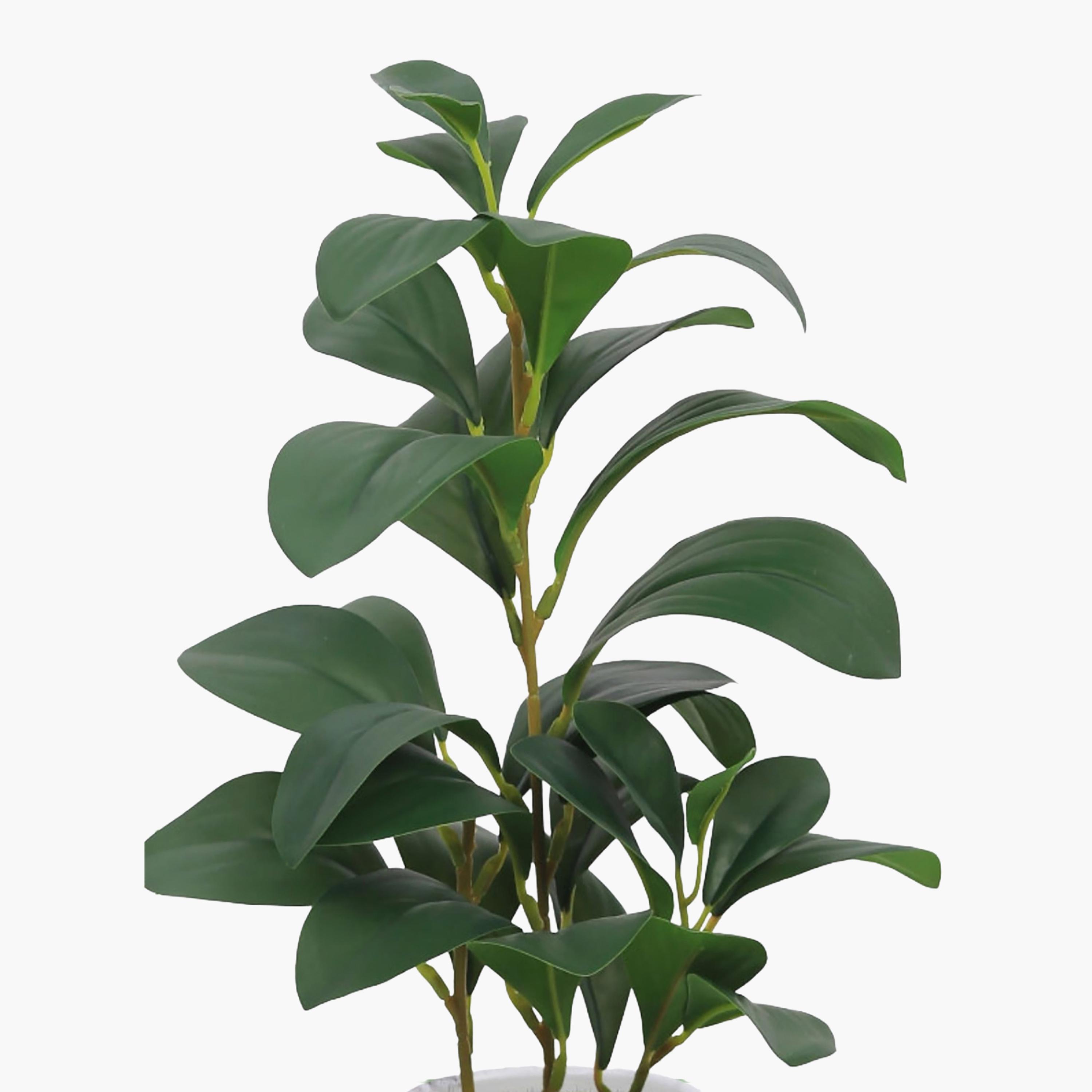Maria Homes Beige Artificial Lemon Plant with Ceramic Pot-household-gardenandoutdoor-artificialflowersandplants-flowers-image-3