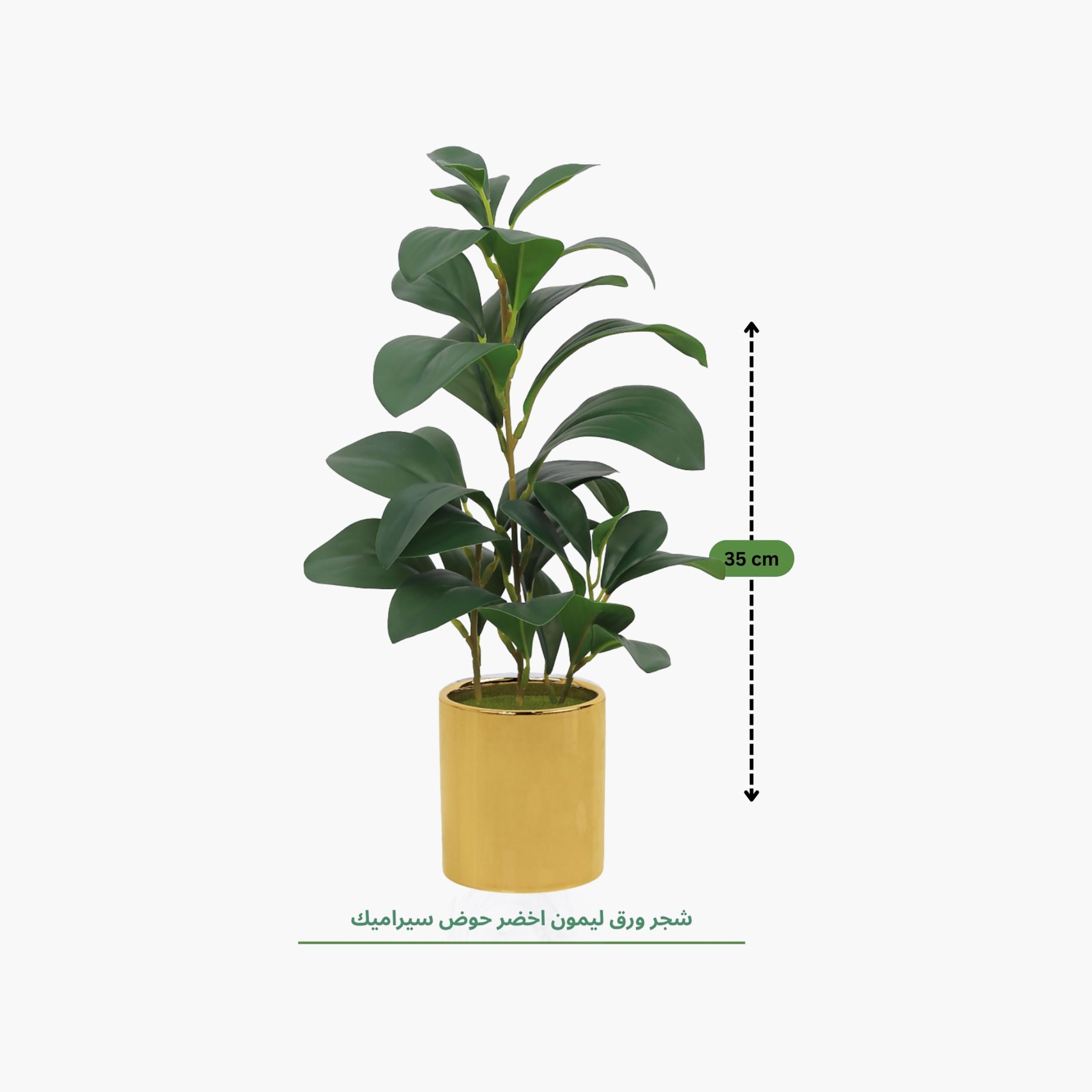 نبتة ليمون صناعية ذهبية مع إناء سيراميك من ماريا هومز-household-gardenandoutdoor-artificialflowersandplants-flowers-image-4