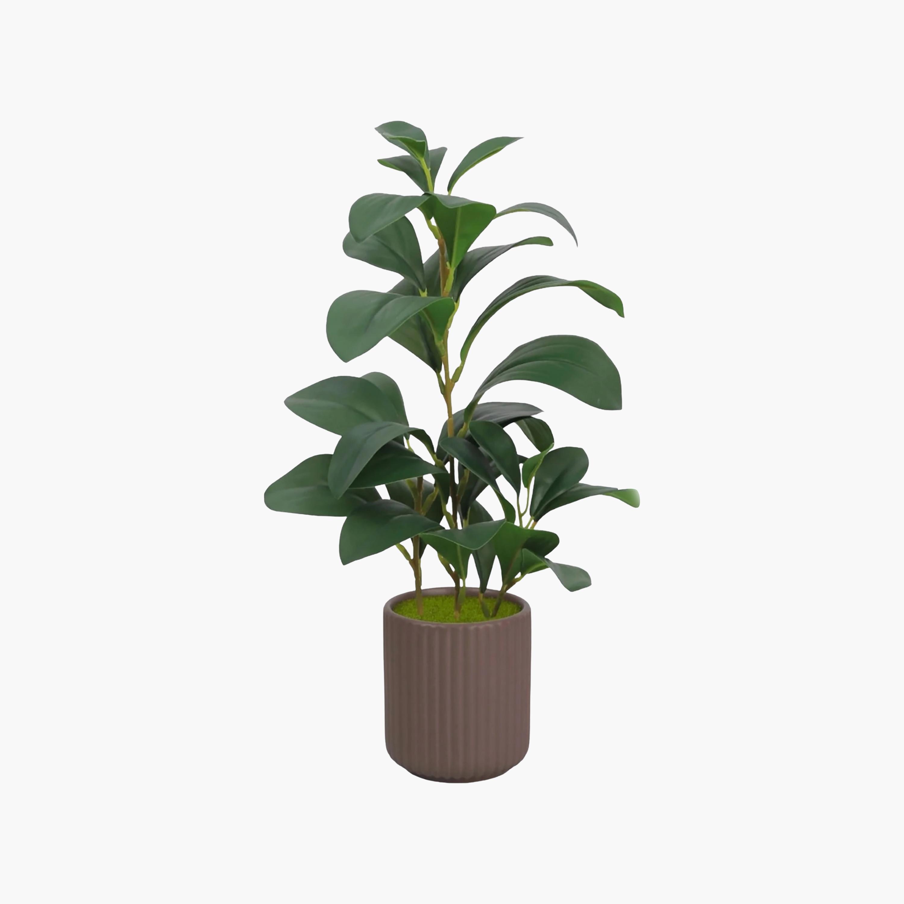 Maria Homes Brown Artificial Lemon Plant with Ceramic Pot-household-gardenandoutdoor-artificialflowersandplants-flowers-image-2