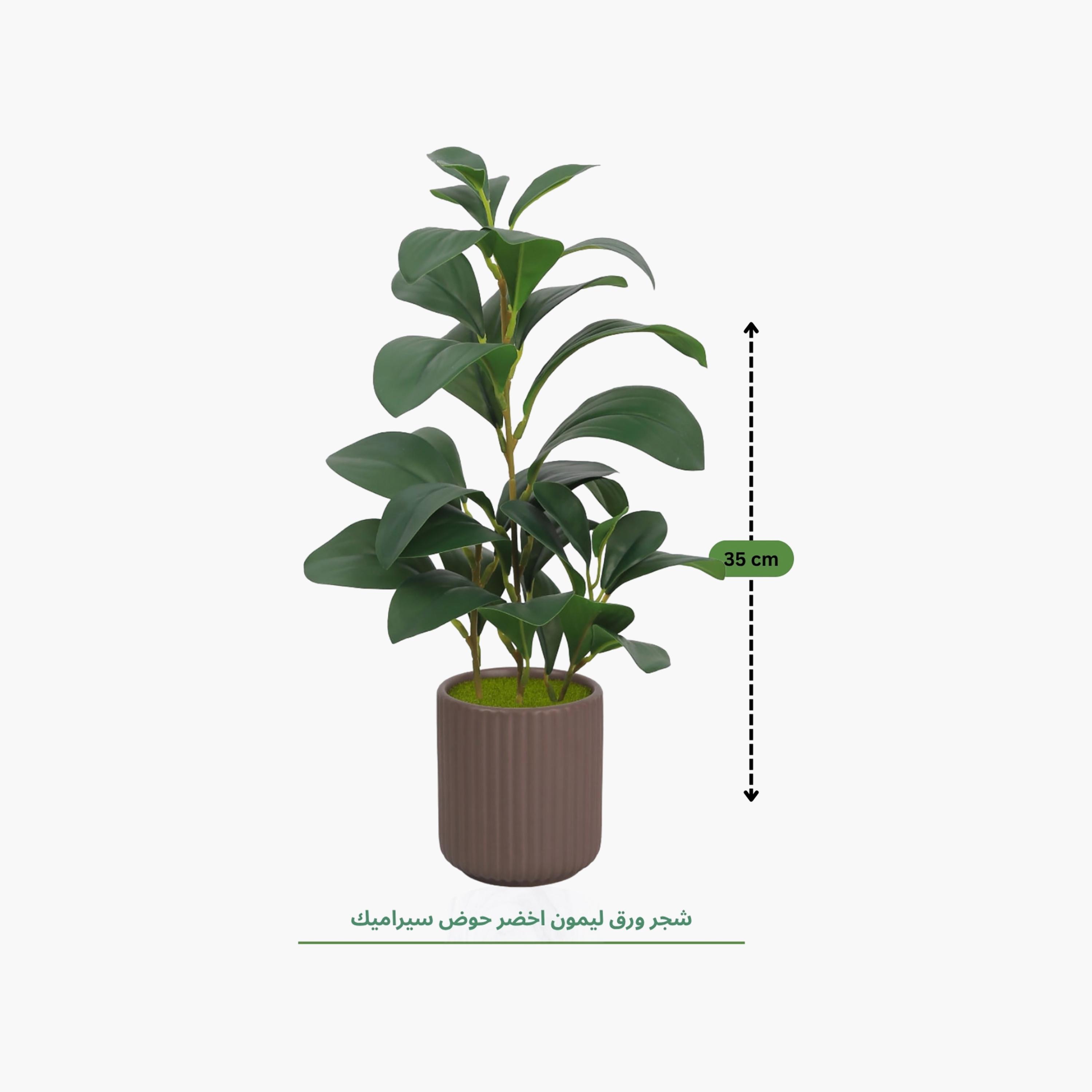 Maria Homes Brown Artificial Lemon Plant with Ceramic Pot-household-gardenandoutdoor-artificialflowersandplants-flowers-image-4