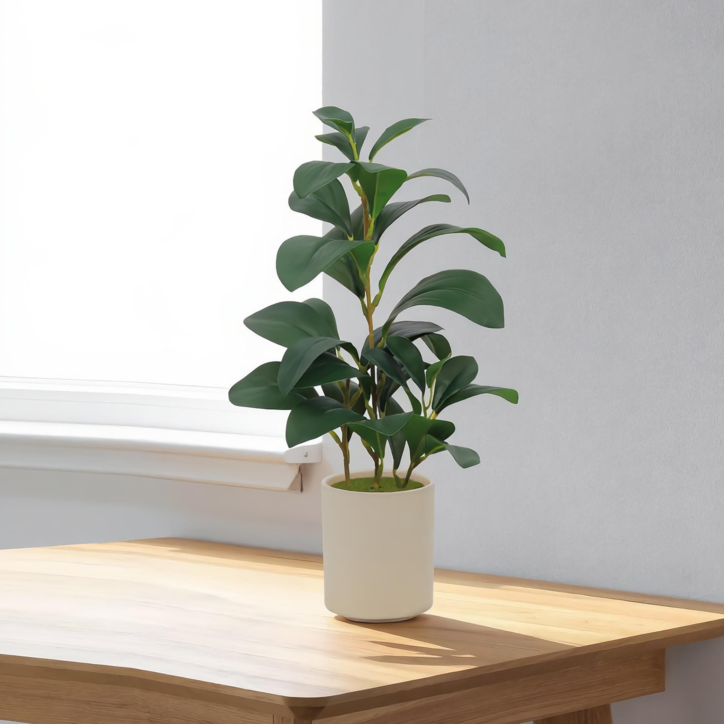 نبتة ليمون صناعية بيج مع أصيص سيراميك من ماريا هومز-household-gardenandoutdoor-artificialflowersandplants-flowers-image-1