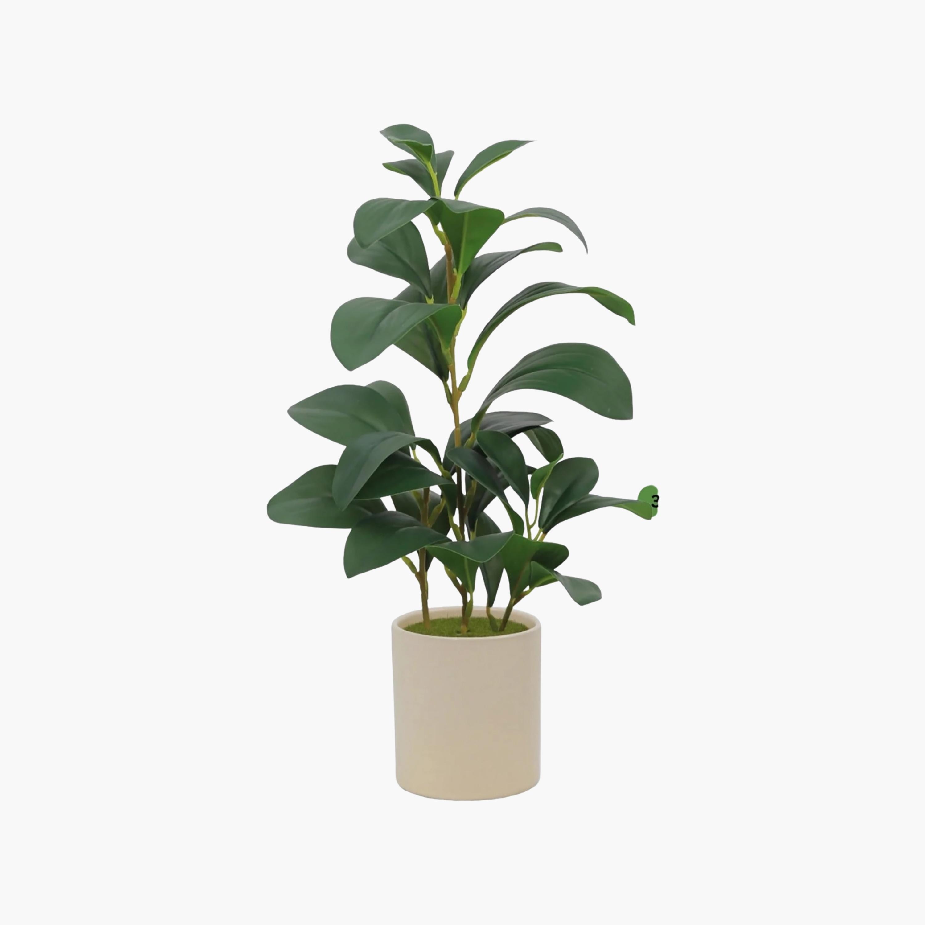 نبتة ليمون صناعية بيج مع أصيص سيراميك من ماريا هومز-household-gardenandoutdoor-artificialflowersandplants-flowers-image-2