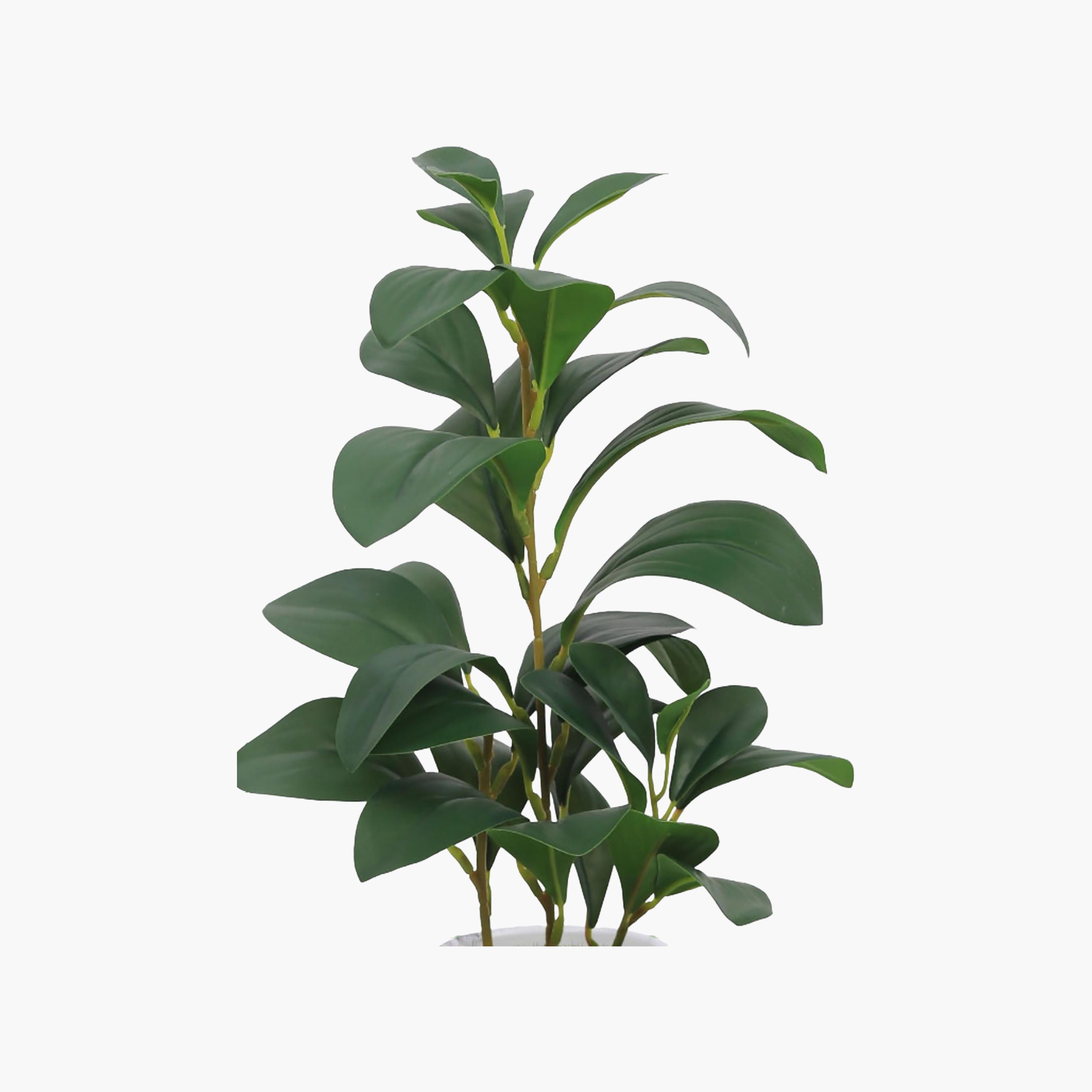 نبتة ليمون صناعية بيج مع أصيص سيراميك من ماريا هومز-household-gardenandoutdoor-artificialflowersandplants-flowers-image-3