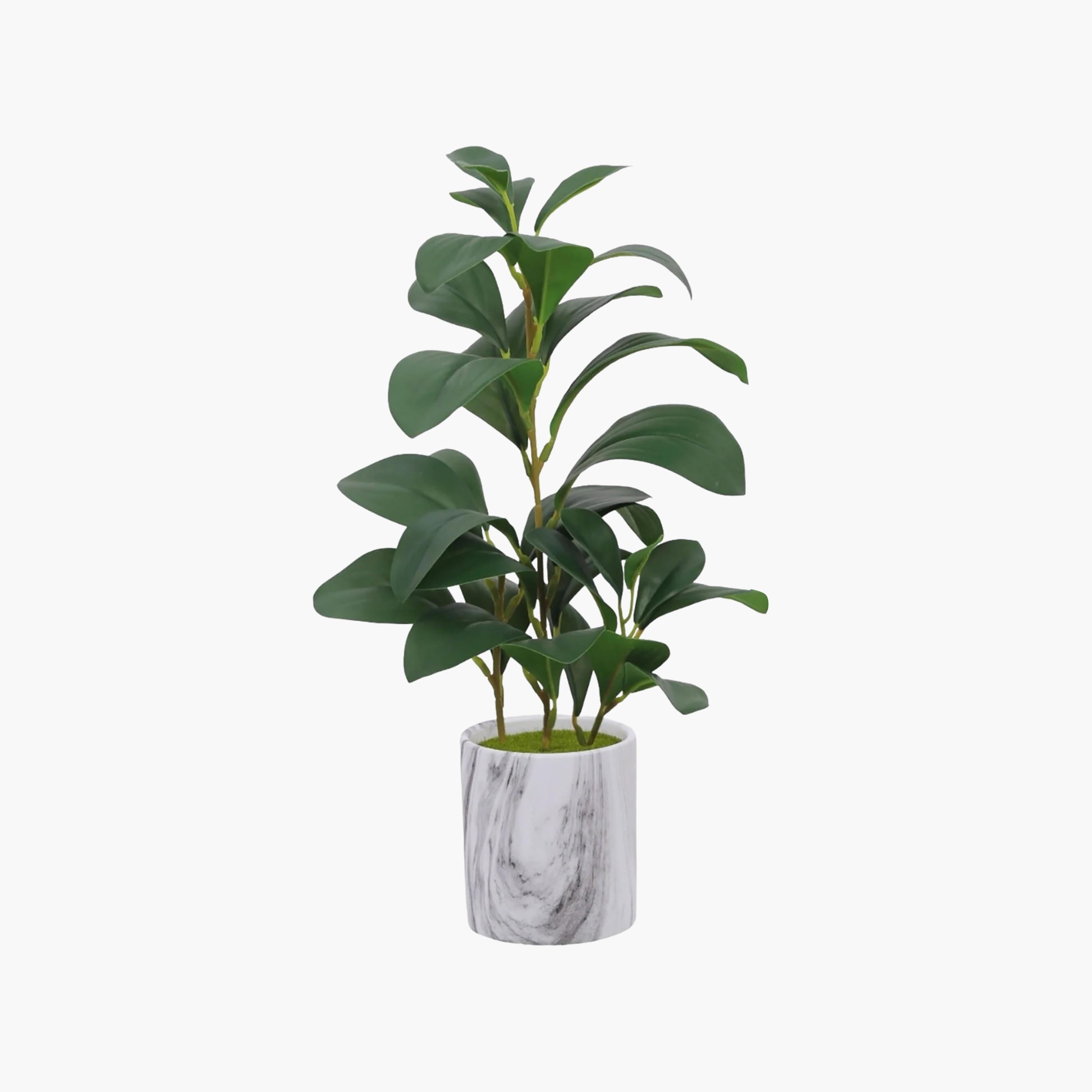 Maria Homes Multicolour Artificial Lemon Plant with Ceramic Pot-household-gardenandoutdoor-artificialflowersandplants-flowers-image-2
