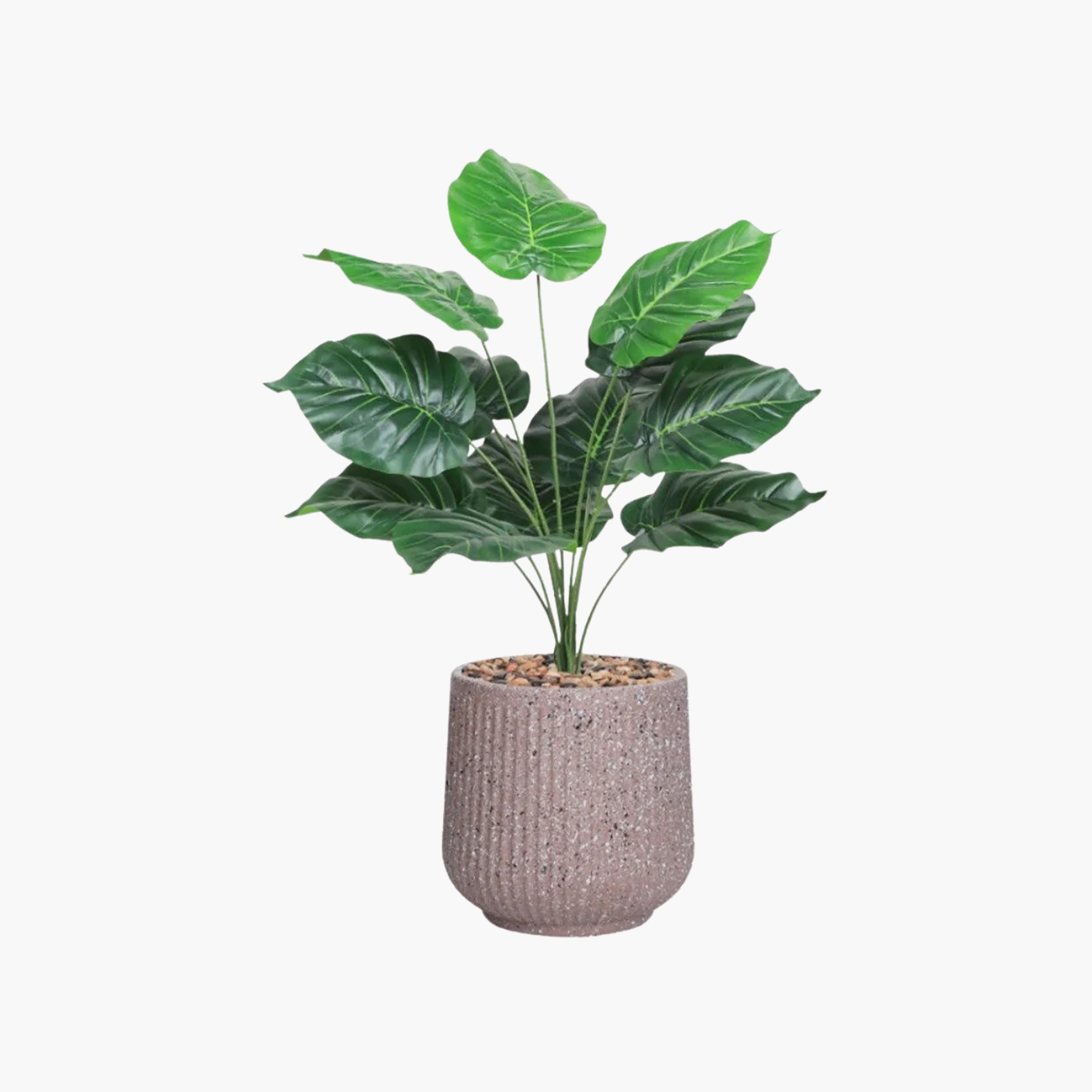 Maria Homes Potted Artificial Heart Leaf Plant-household-gardenandoutdoor-artificialflowersandplants-flowers-image-2