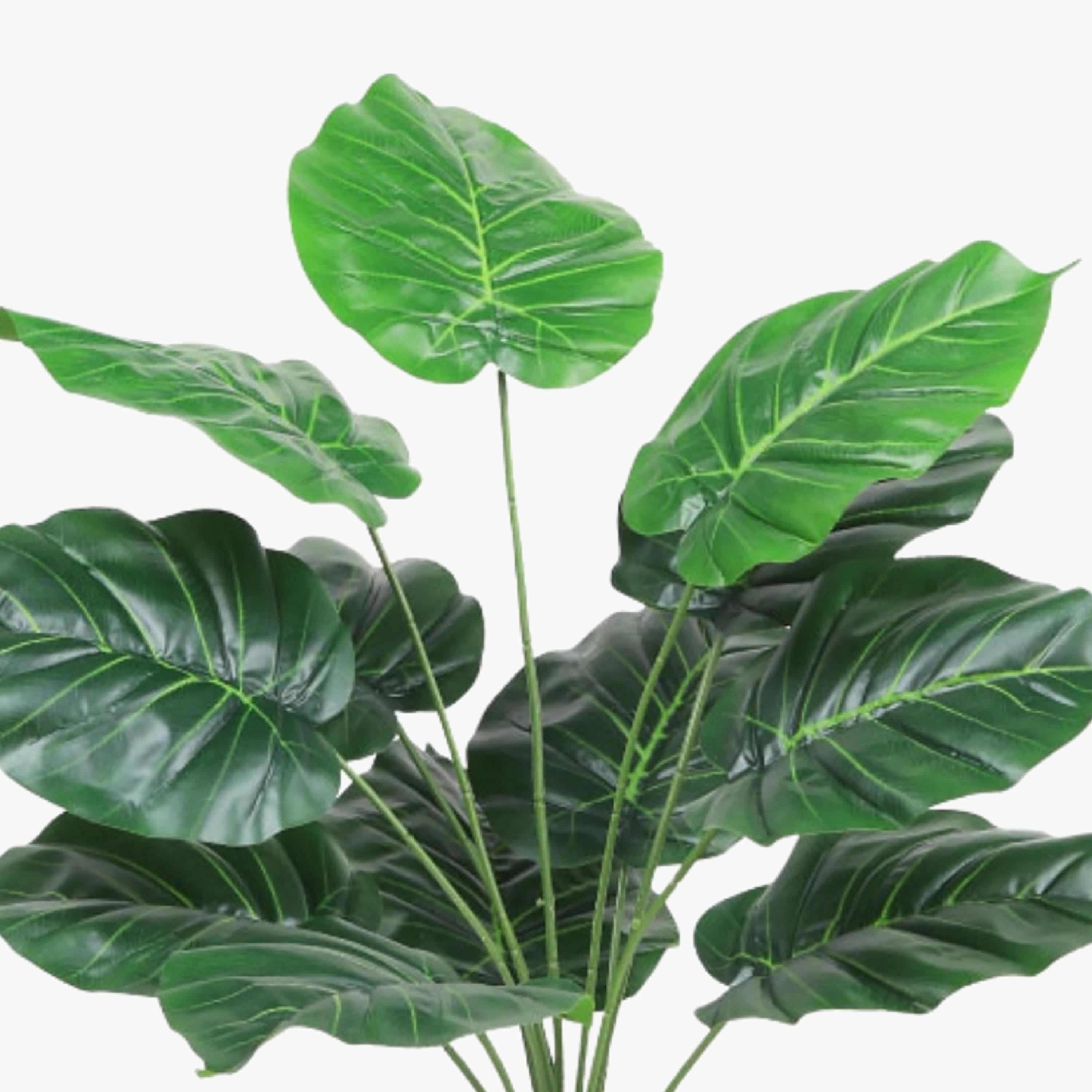Maria Homes Potted Artificial Heart Leaf Plant-household-gardenandoutdoor-artificialflowersandplants-flowers-image-3