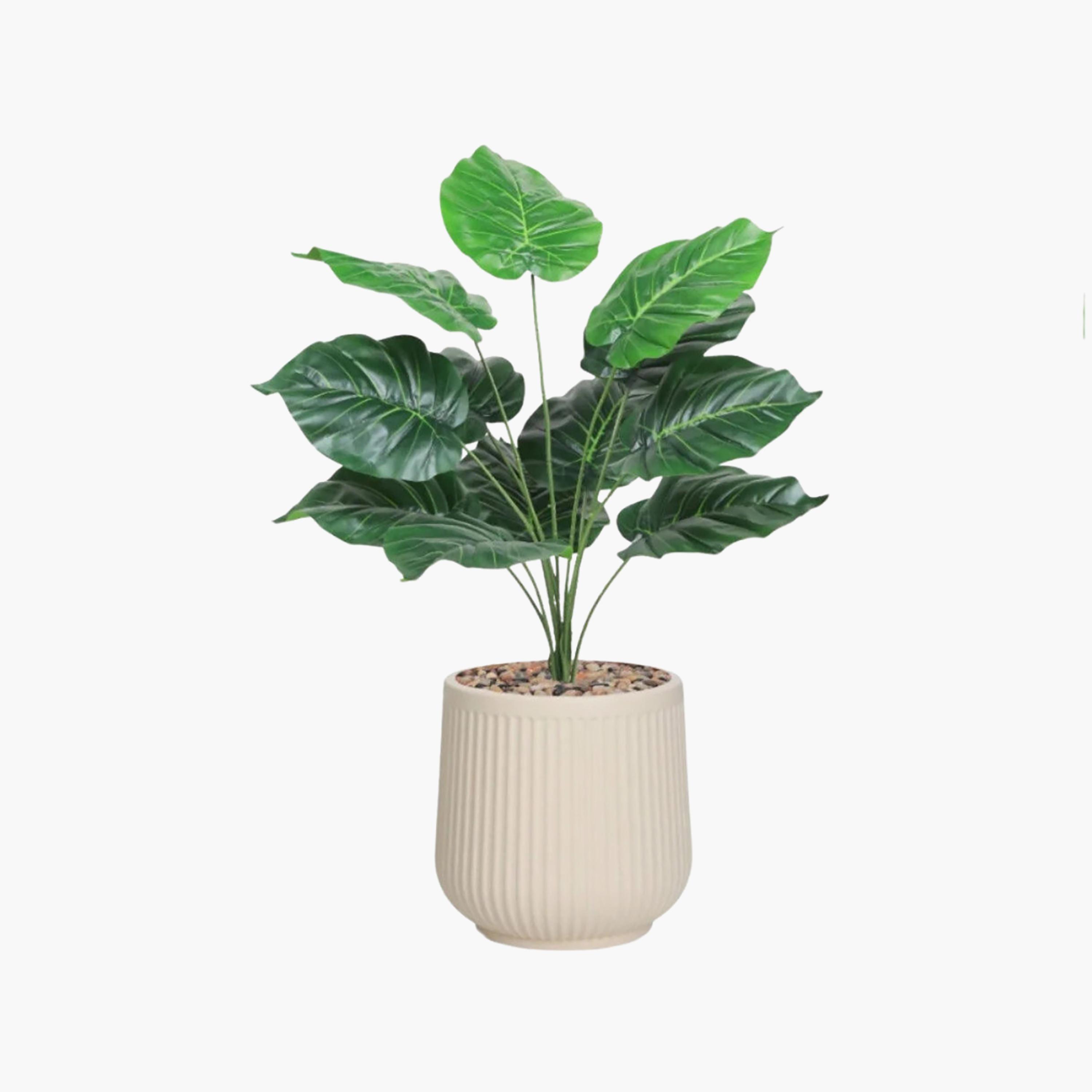 نبتة صناعية بأوراق قلبية في أصيص من ماريا هومز-household-gardenandoutdoor-artificialflowersandplants-flowers-image-2