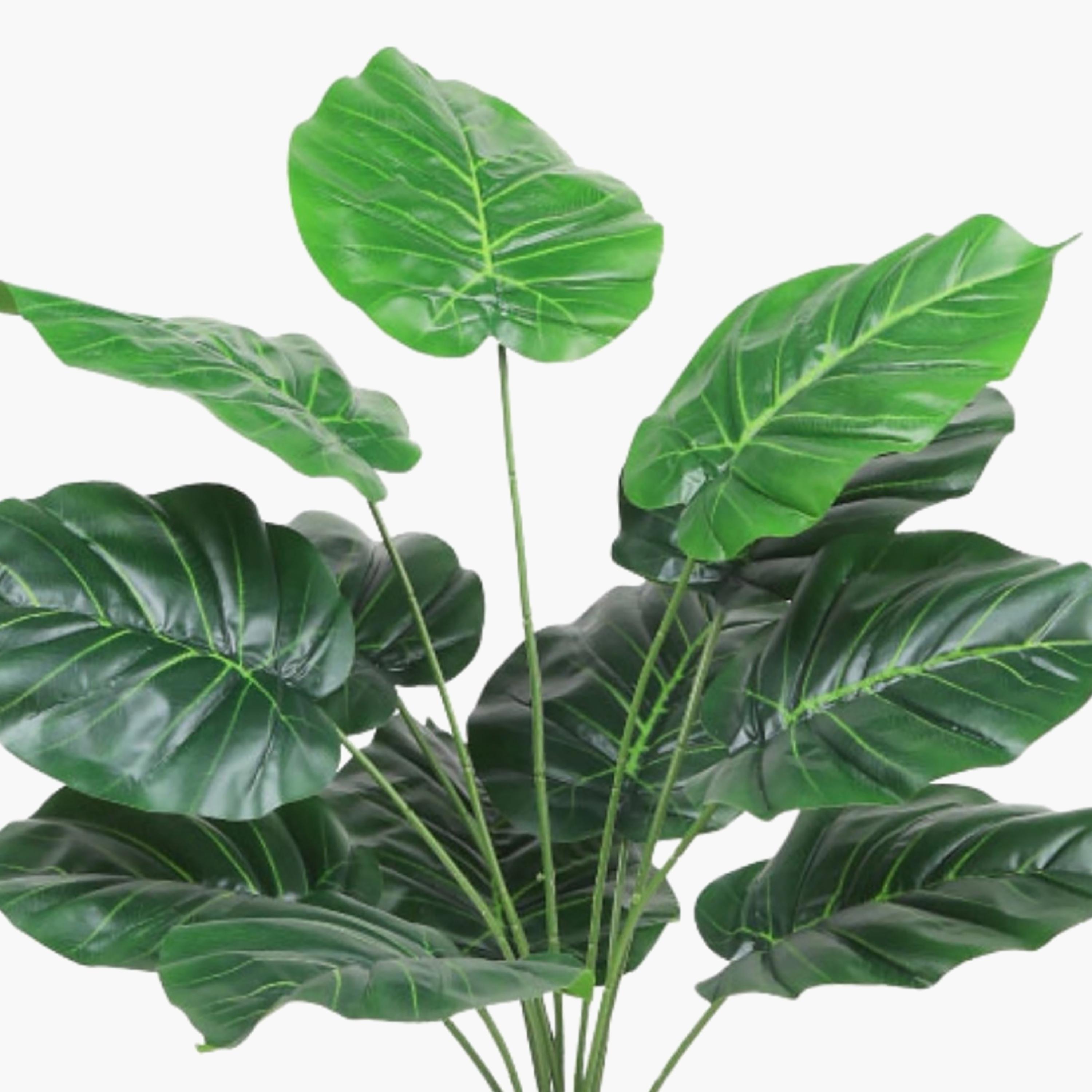 نبتة صناعية بأوراق قلبية في أصيص من ماريا هومز-household-gardenandoutdoor-artificialflowersandplants-flowers-image-3