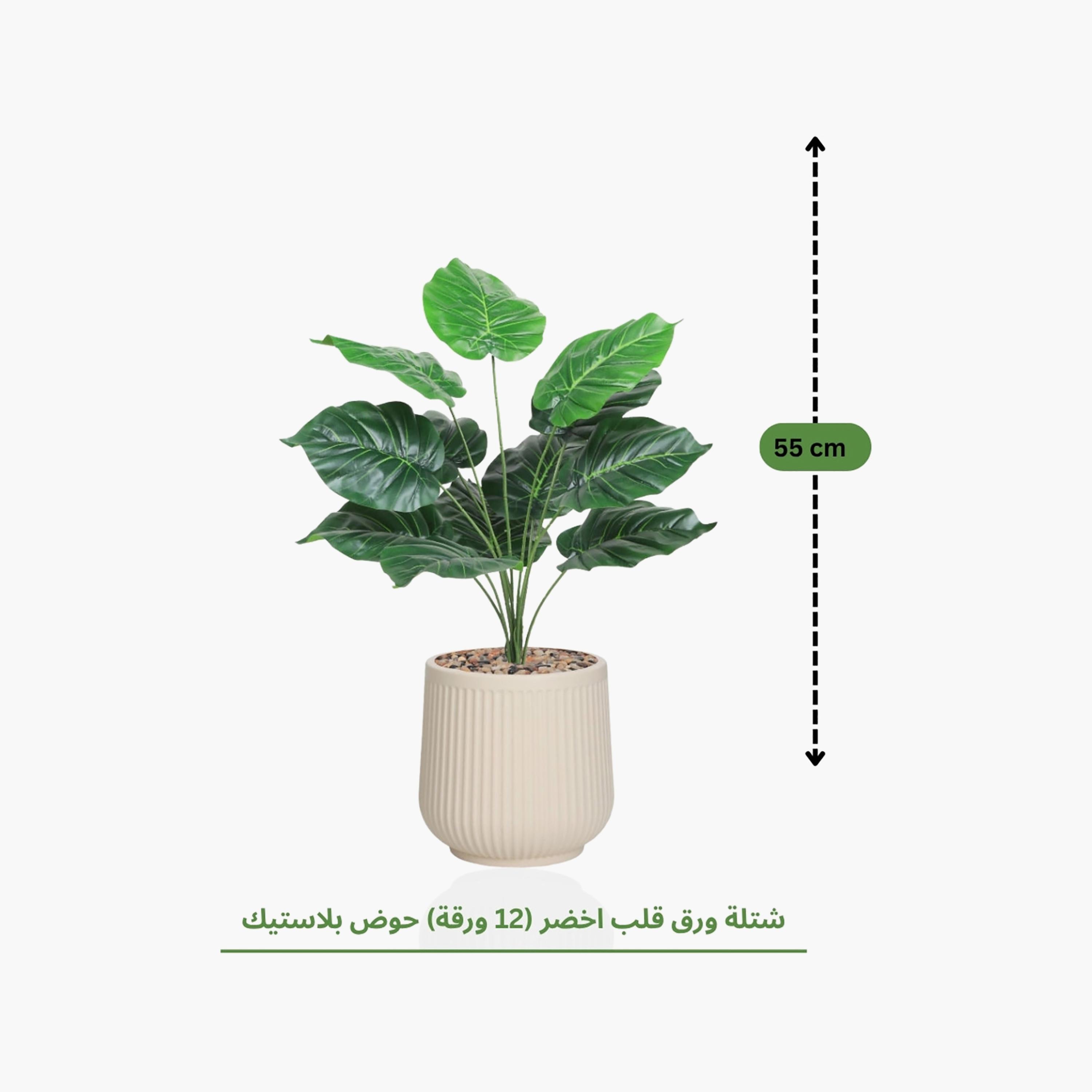 نبتة صناعية بأوراق قلبية في أصيص من ماريا هومز-household-gardenandoutdoor-artificialflowersandplants-flowers-image-4