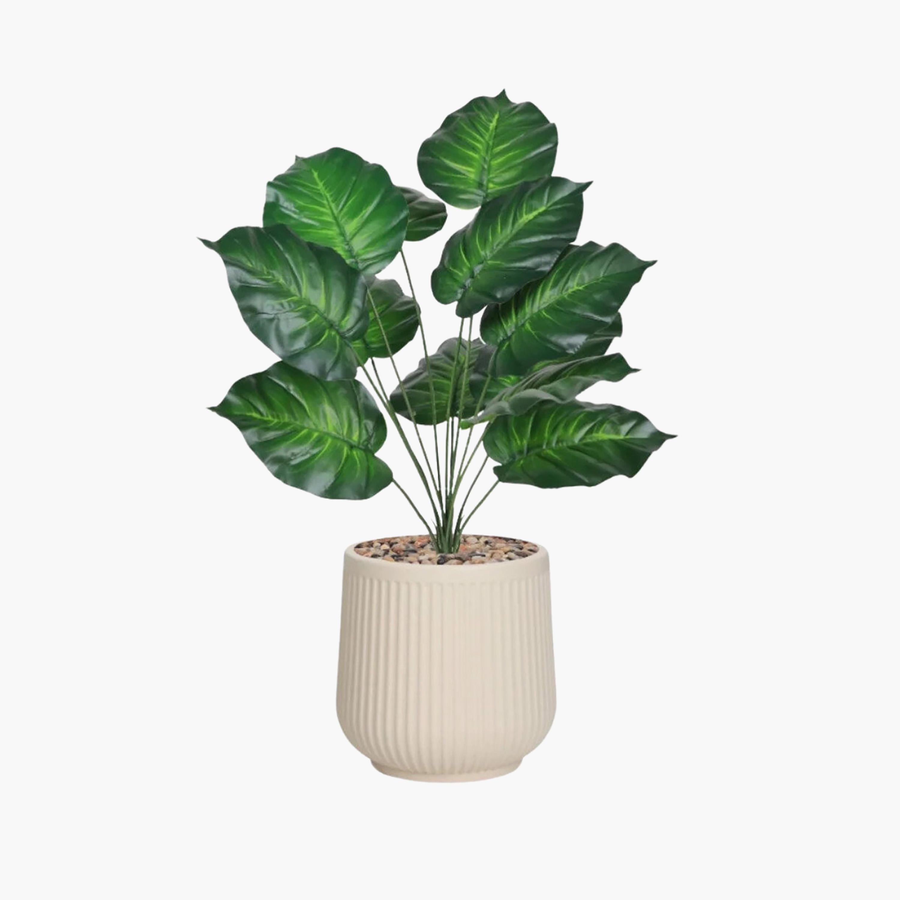 نبتة صناعية بأوراق قلبية في أصيص من ماريا هومز-household-gardenandoutdoor-artificialflowersandplants-flowers-image-2