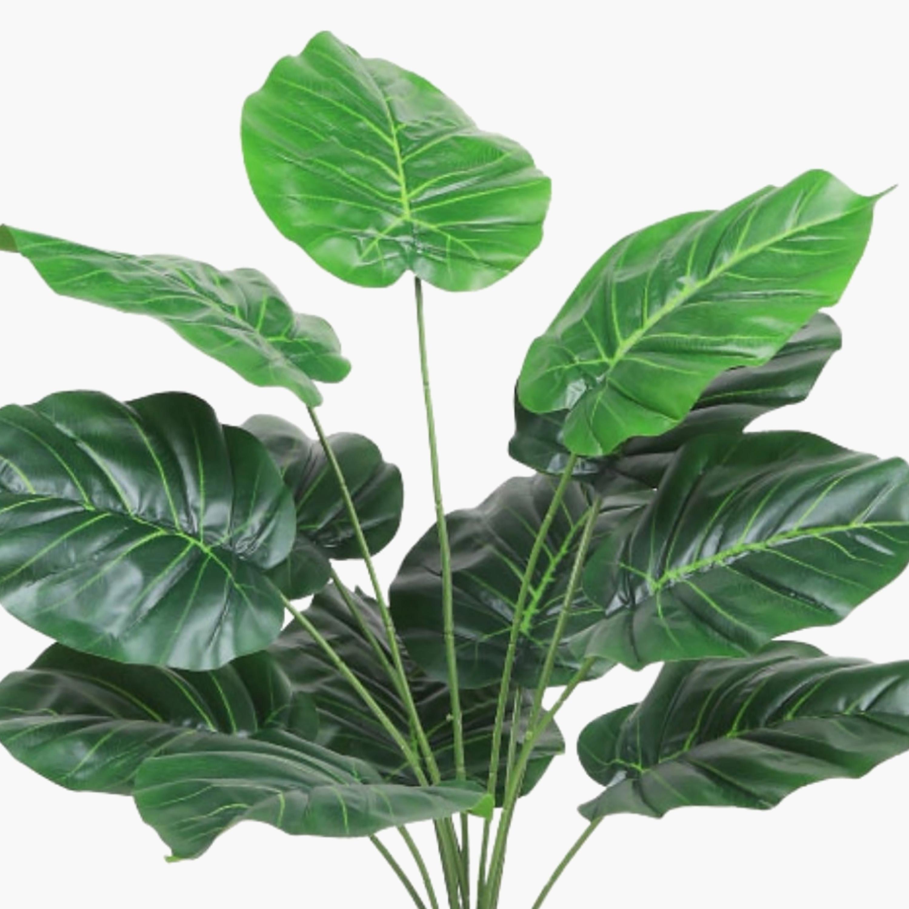 نبتة صناعية بأوراق قلبية في أصيص من ماريا هومز-household-gardenandoutdoor-artificialflowersandplants-flowers-image-3