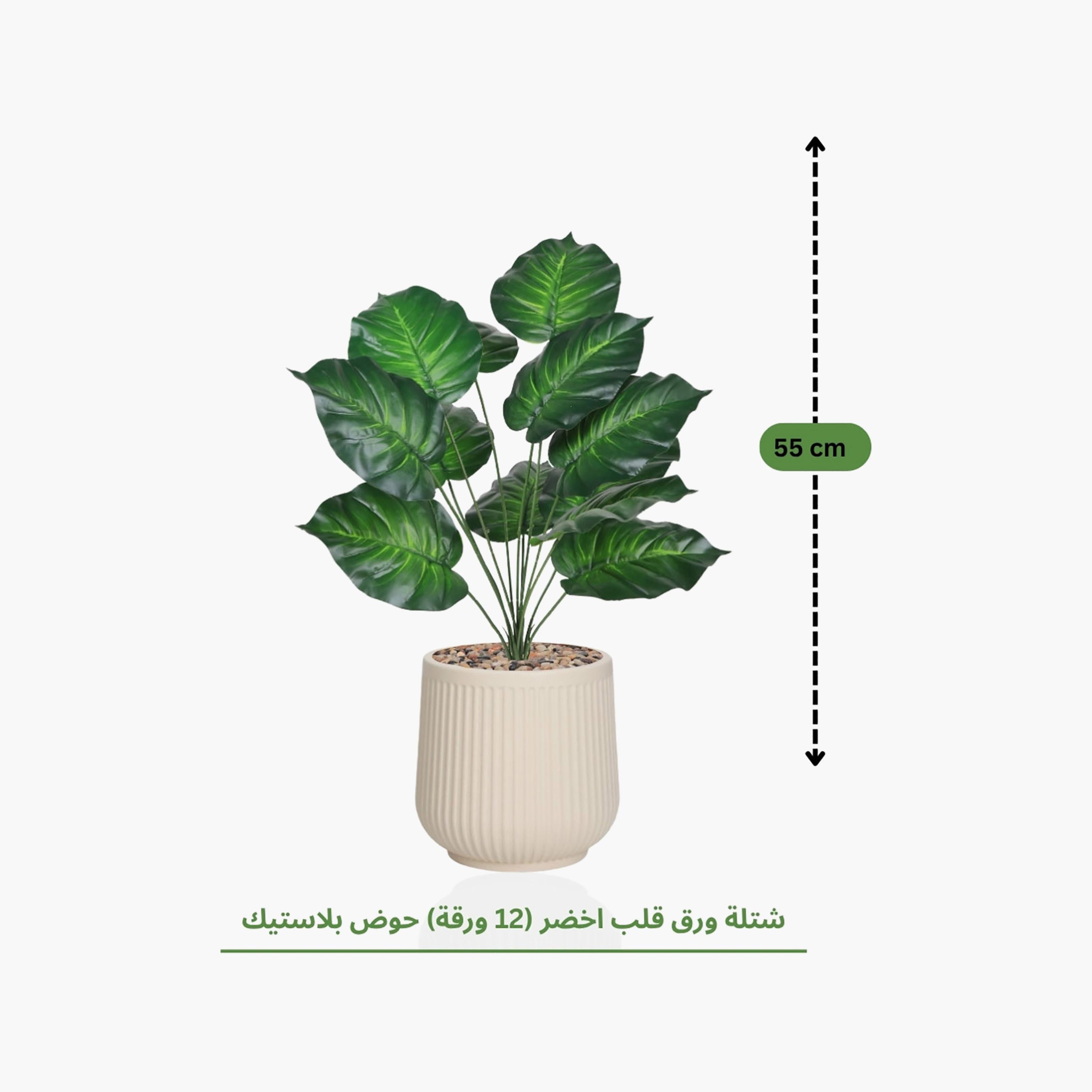 نبتة صناعية بأوراق قلبية في أصيص من ماريا هومز-household-gardenandoutdoor-artificialflowersandplants-flowers-image-4