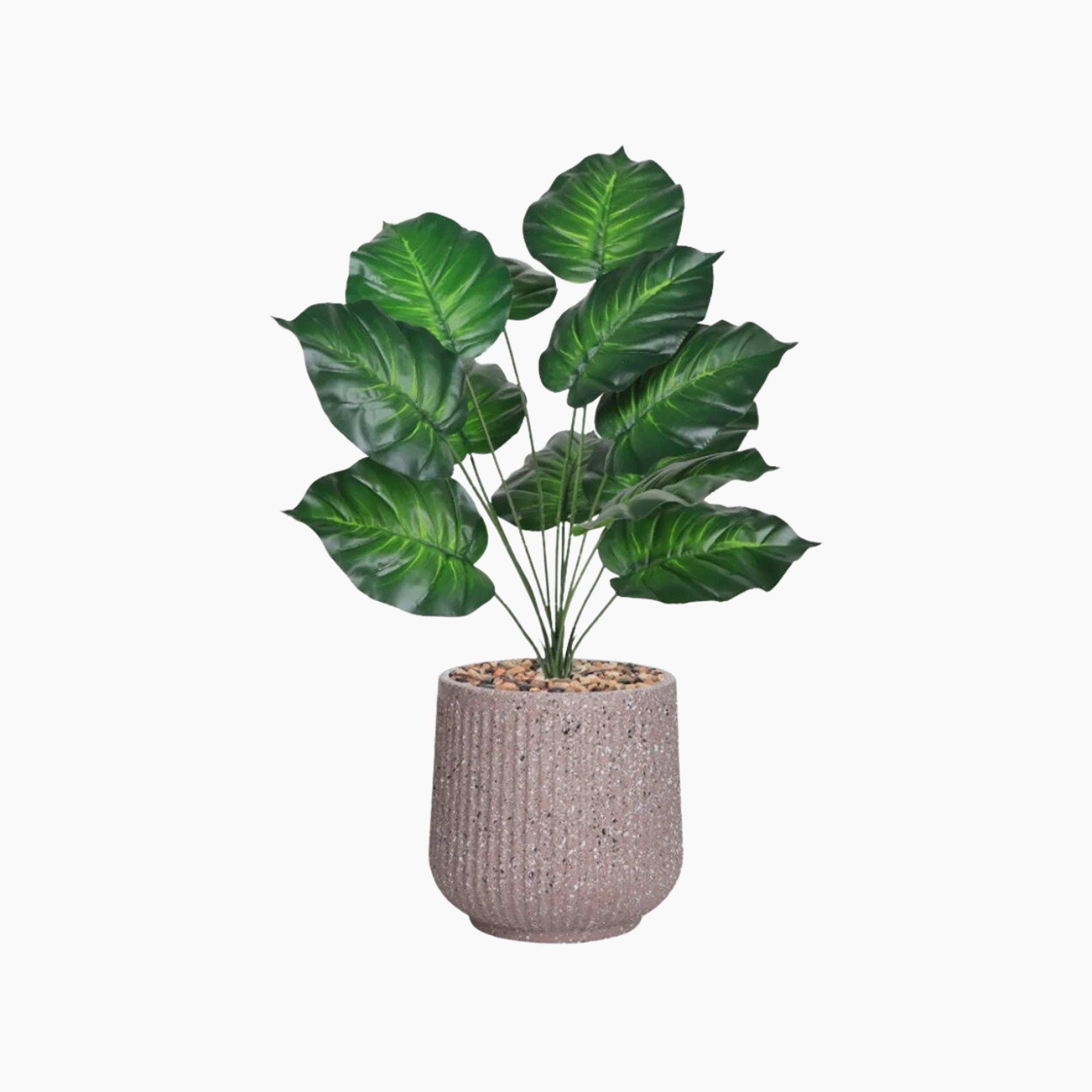 Maria Homes Potted Artificial Heart Leaf Plant-household-gardenandoutdoor-artificialflowersandplants-flowers-image-2
