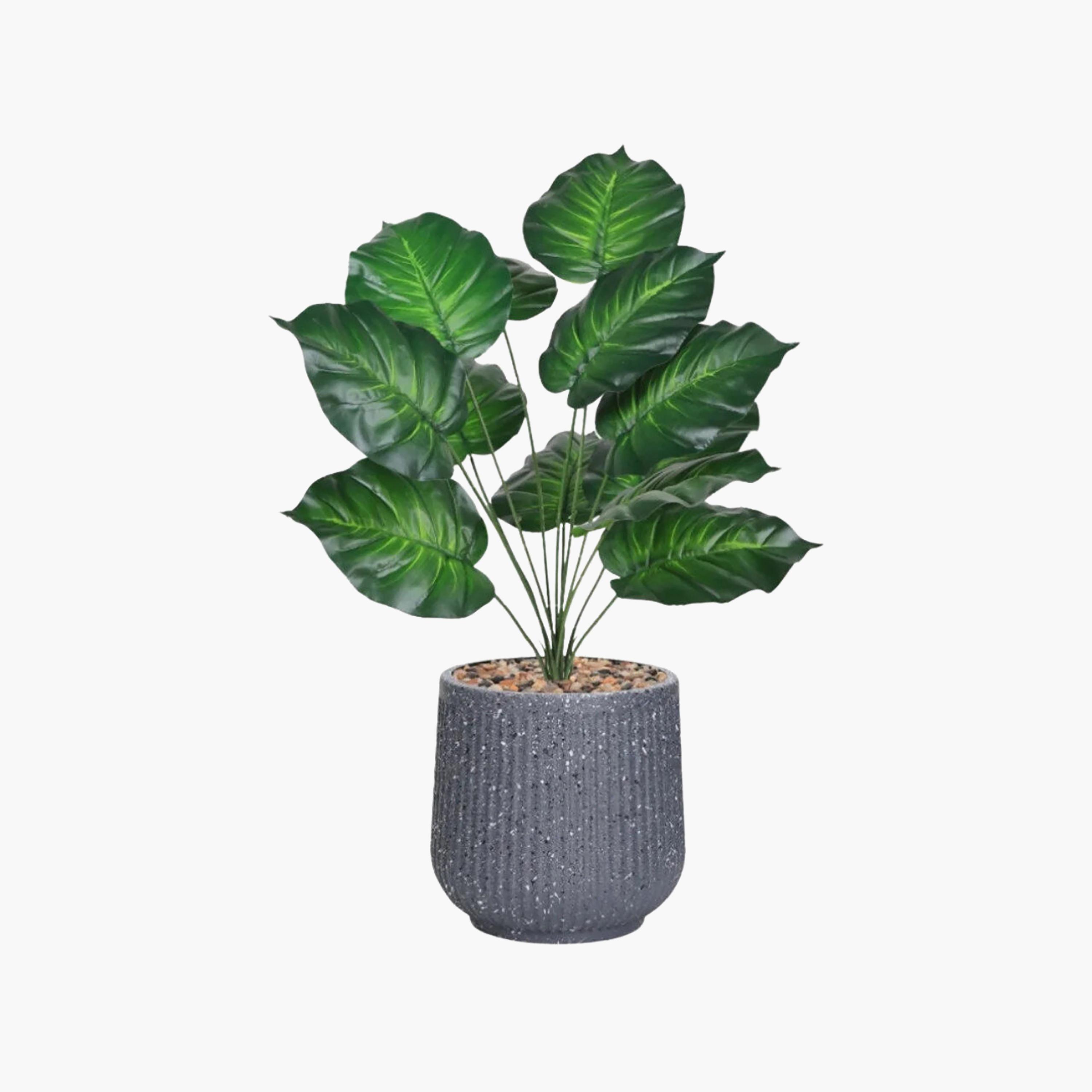 نبتة صناعية بأوراق قلبية في أصيص من ماريا هومز-household-gardenandoutdoor-artificialflowersandplants-flowers-image-2