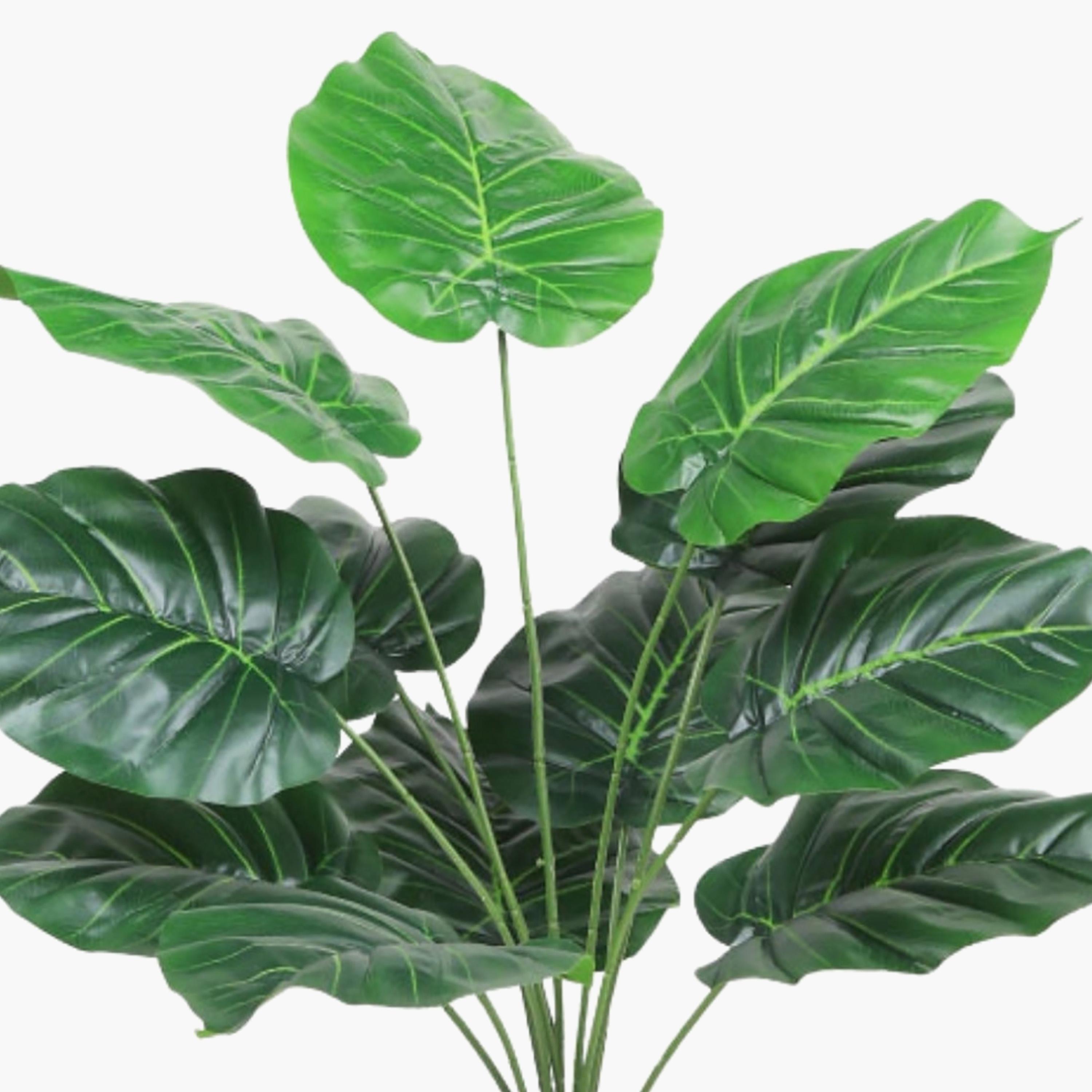 نبتة صناعية بأوراق قلبية في أصيص من ماريا هومز-household-gardenandoutdoor-artificialflowersandplants-flowers-image-3