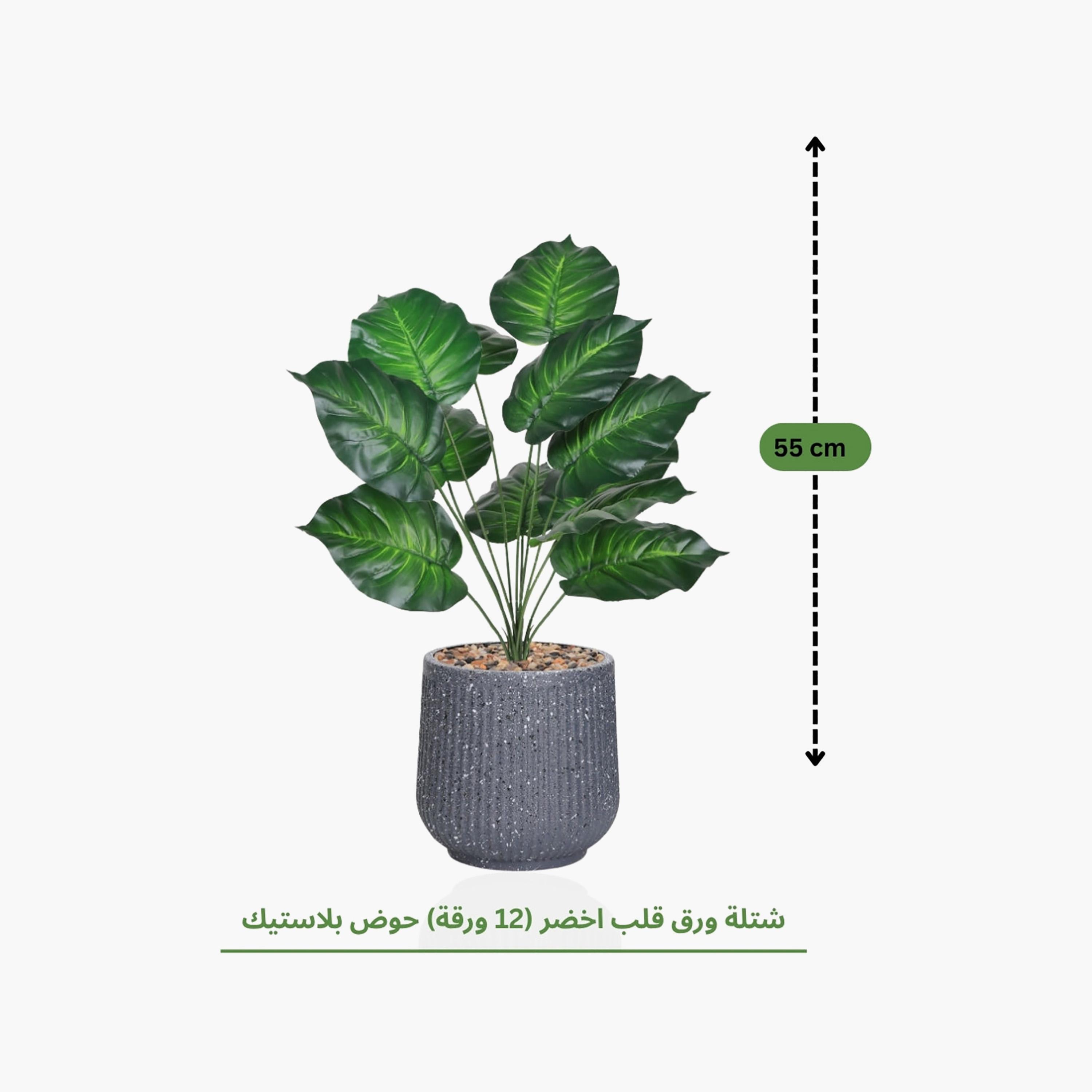 نبتة صناعية بأوراق قلبية في أصيص من ماريا هومز-household-gardenandoutdoor-artificialflowersandplants-flowers-image-4
