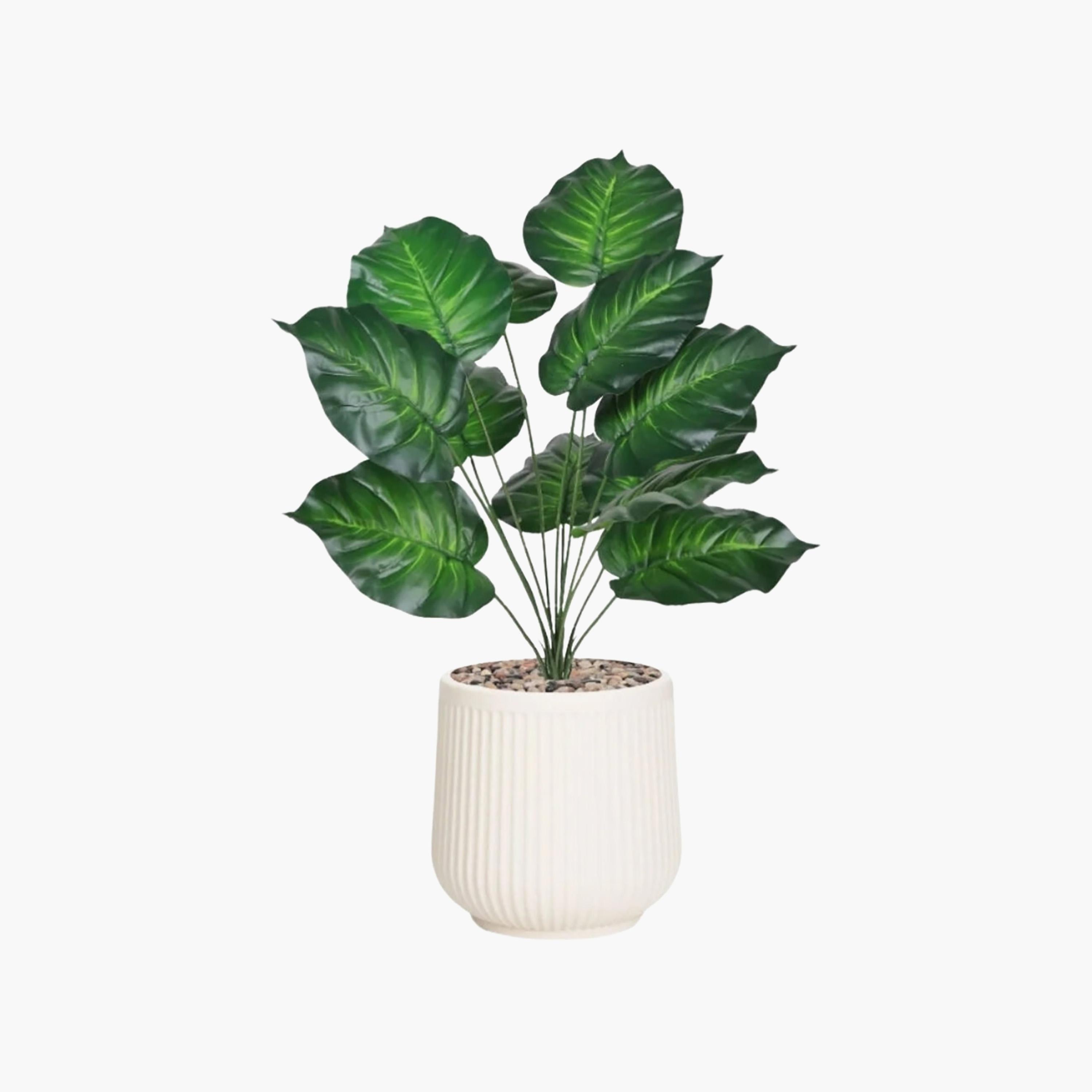 نبتة صناعية بأوراق قلبية في أصيص من ماريا هومز-household-gardenandoutdoor-artificialflowersandplants-flowers-image-2