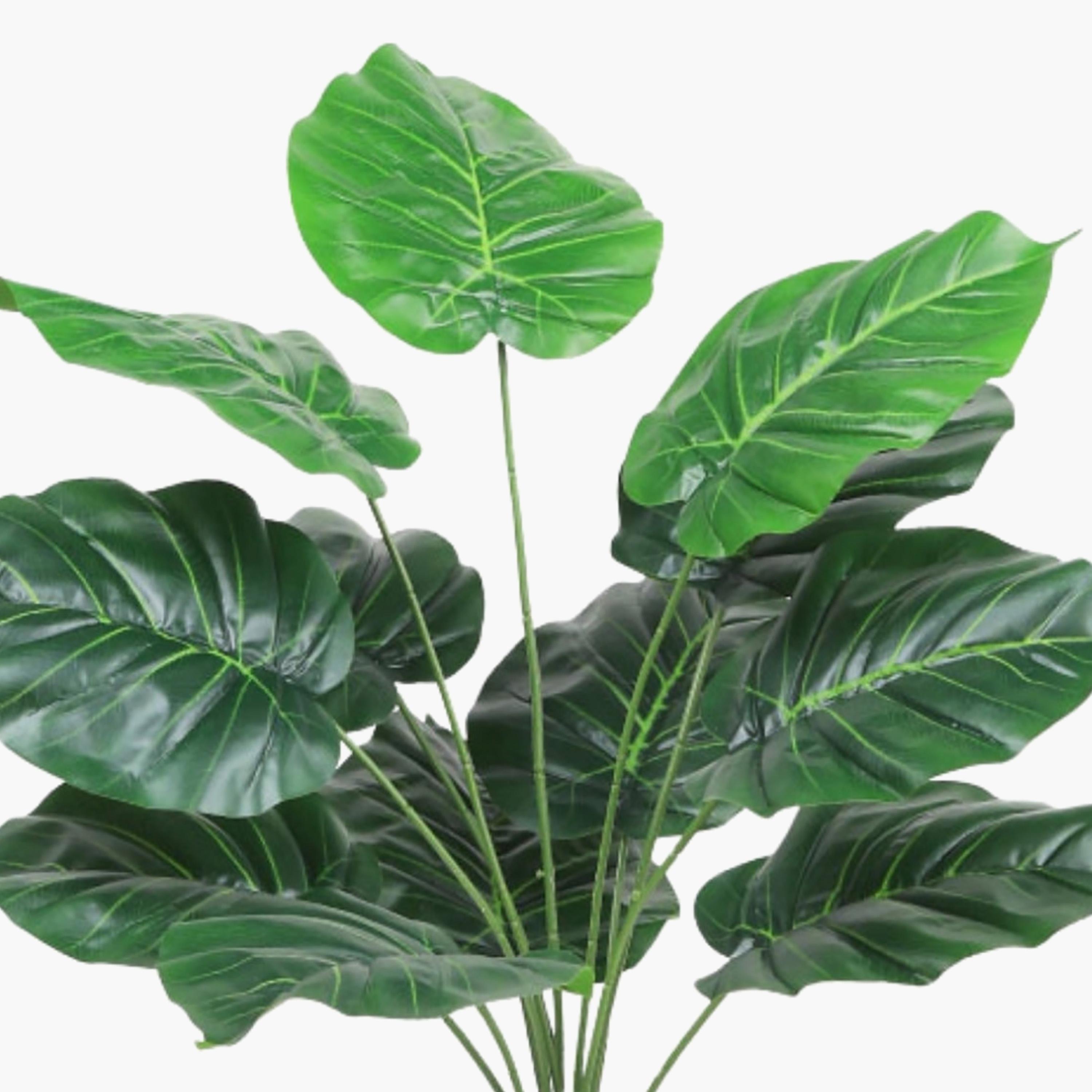 نبتة صناعية بأوراق قلبية في أصيص من ماريا هومز-household-gardenandoutdoor-artificialflowersandplants-flowers-image-3