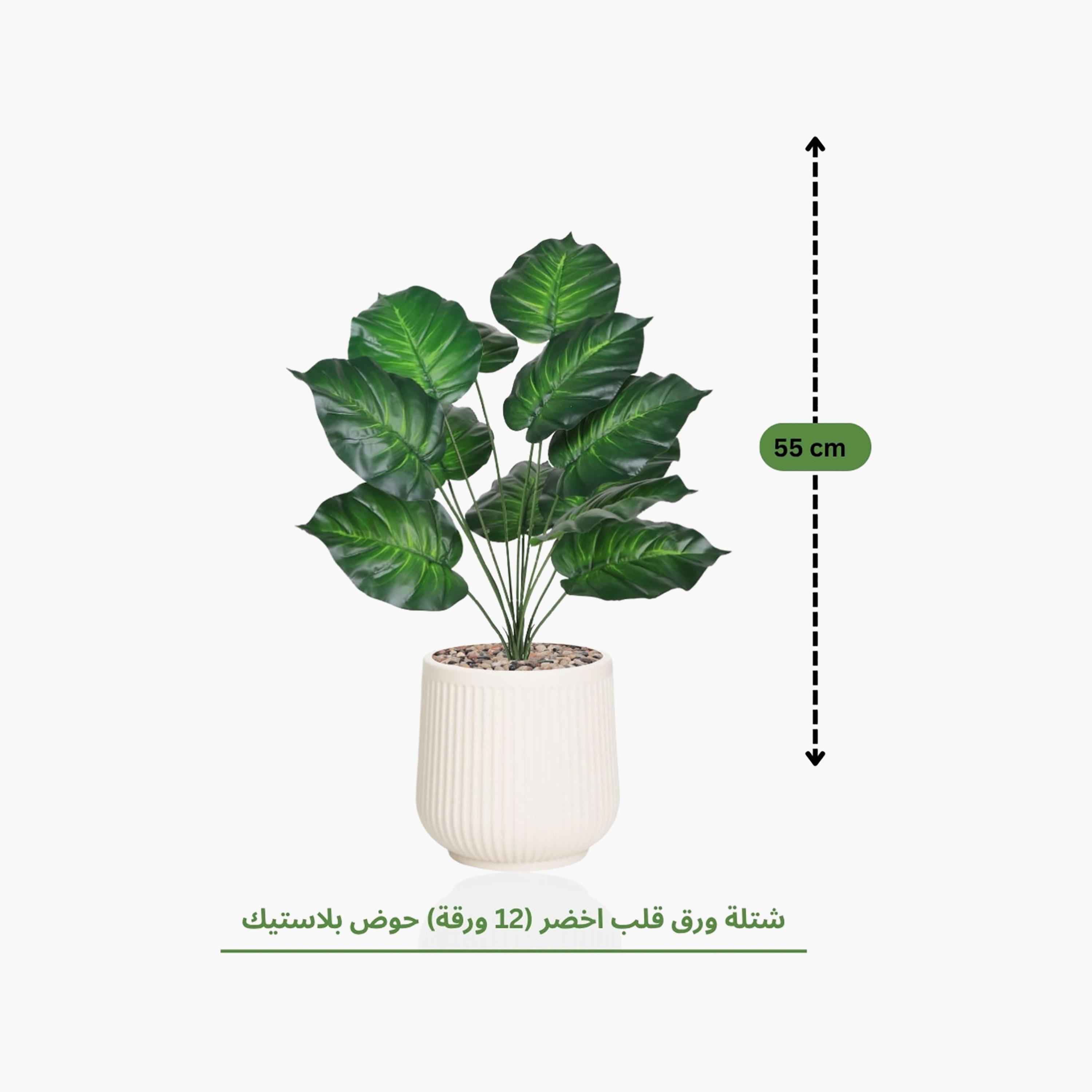 نبتة صناعية بأوراق قلبية في أصيص من ماريا هومز-household-gardenandoutdoor-artificialflowersandplants-flowers-image-4