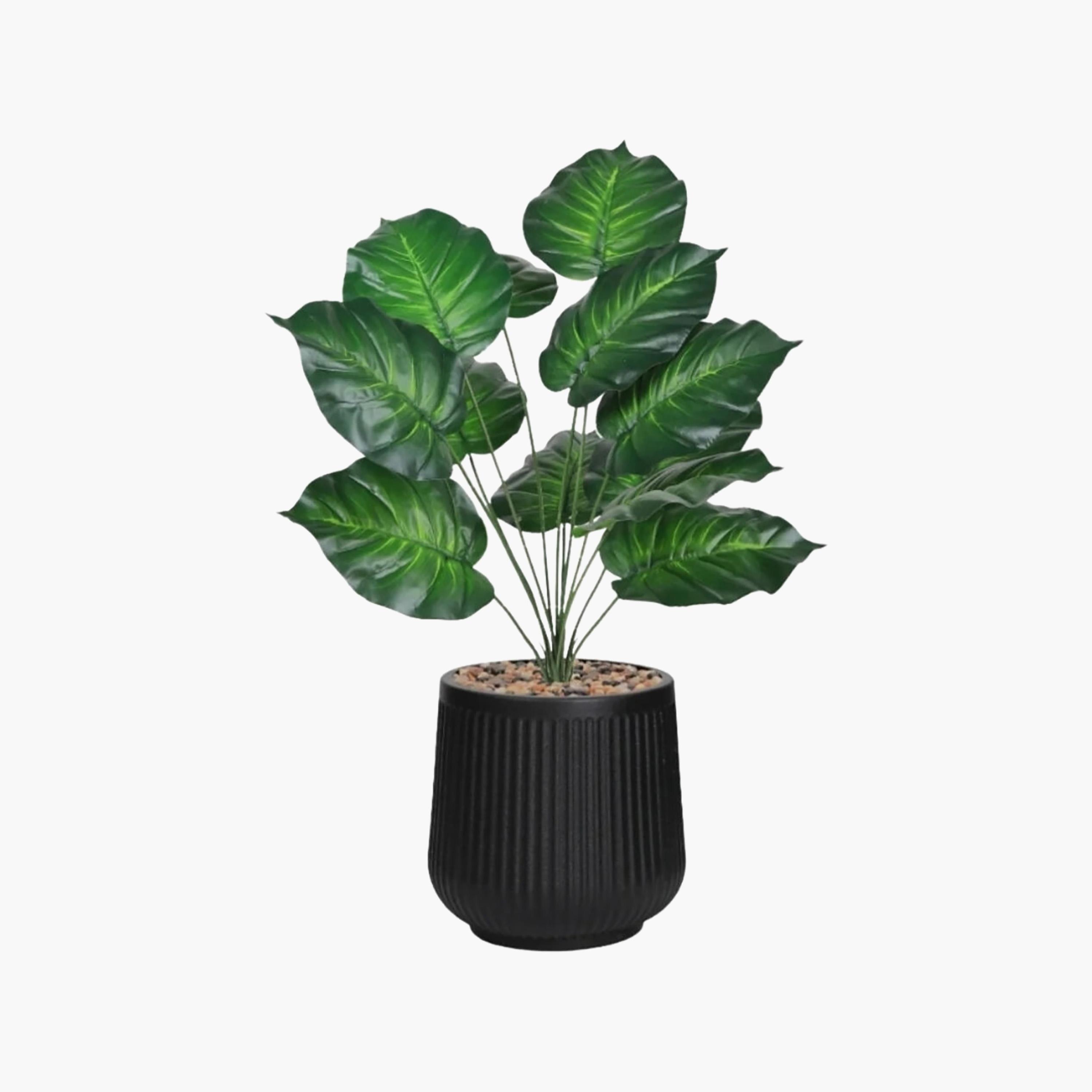نبتة صناعية بأوراق قلبية في أصيص من ماريا هومز-household-gardenandoutdoor-artificialflowersandplants-flowers-image-2