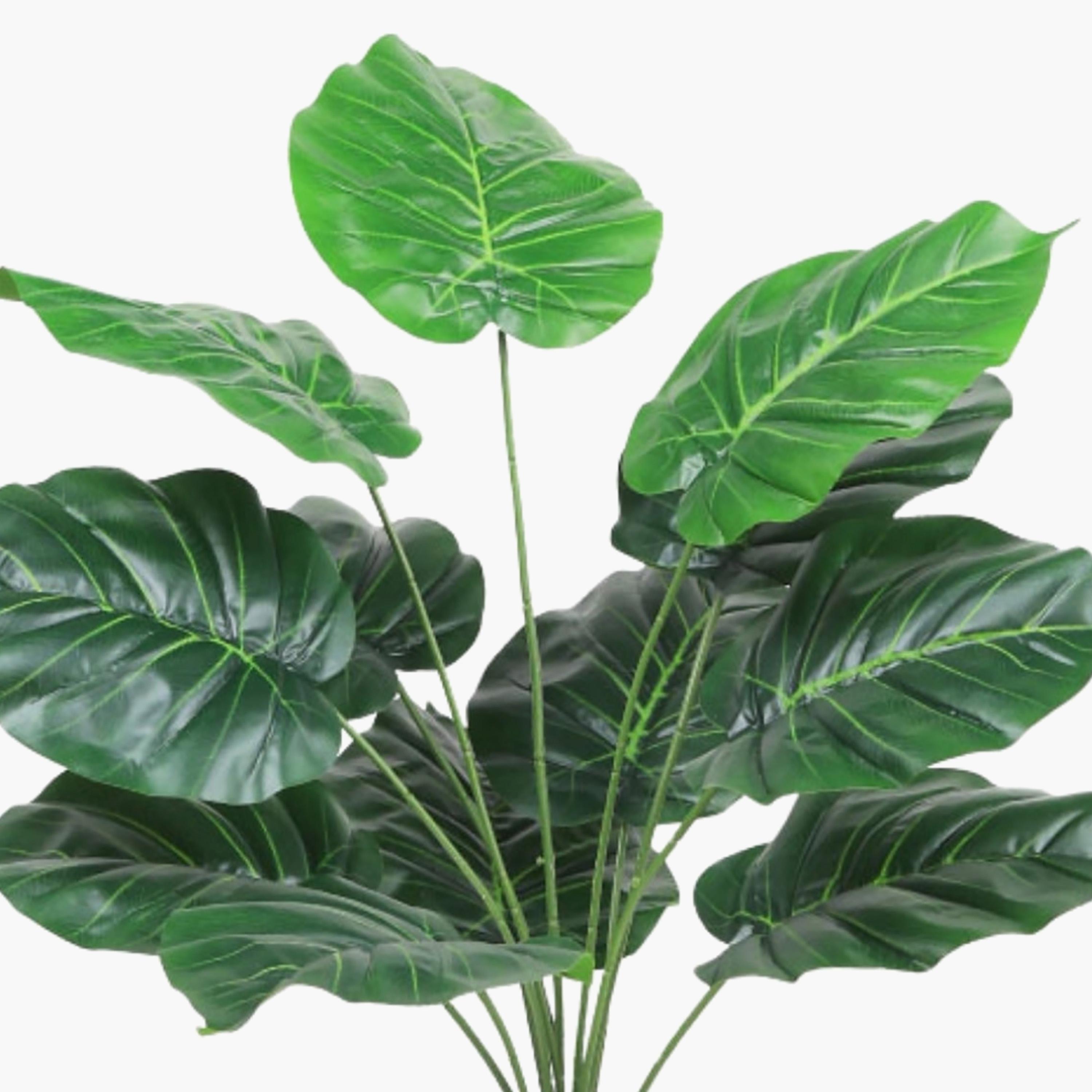 نبتة صناعية بأوراق قلبية في أصيص من ماريا هومز-household-gardenandoutdoor-artificialflowersandplants-flowers-image-3