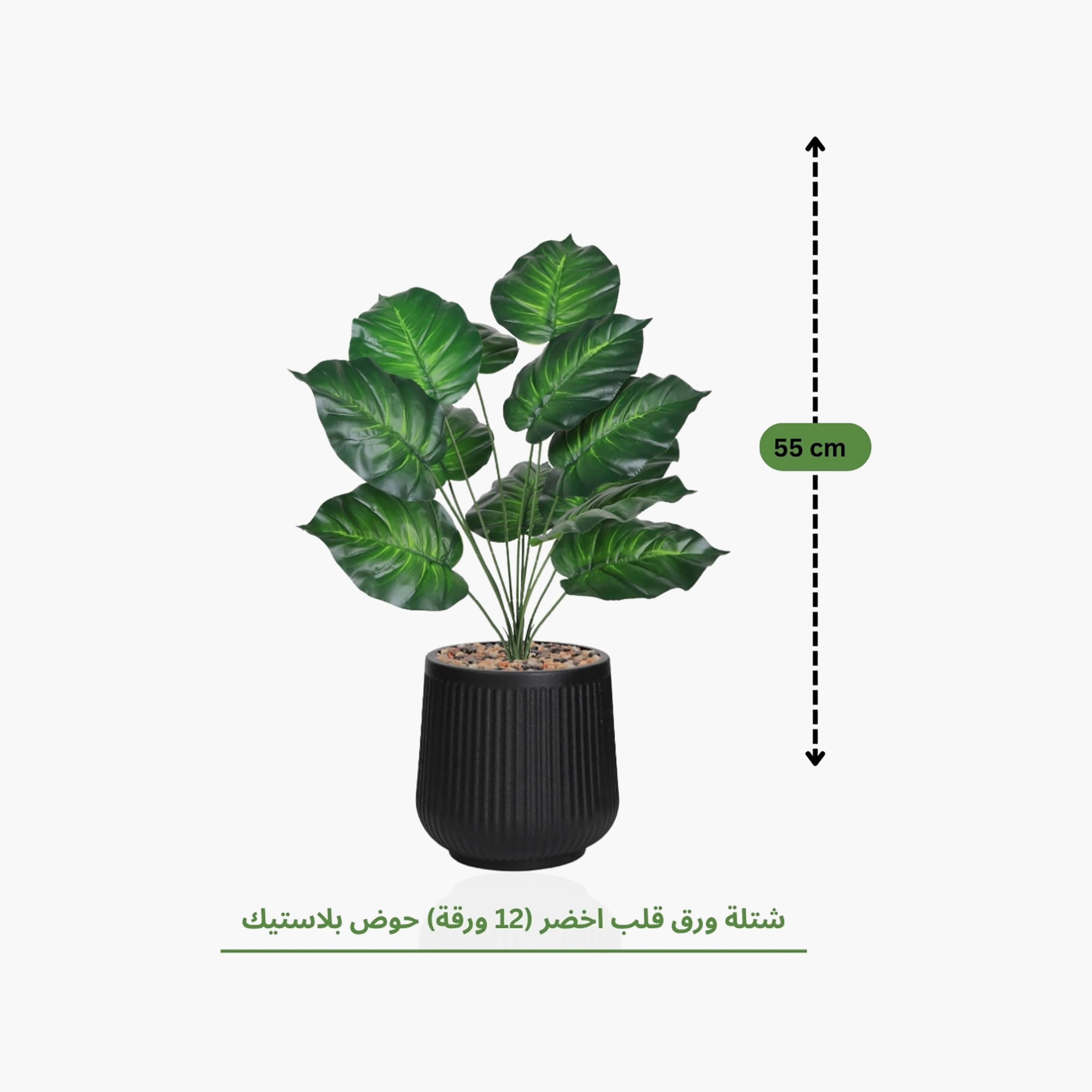نبتة صناعية بأوراق قلبية في أصيص من ماريا هومز-household-gardenandoutdoor-artificialflowersandplants-flowers-image-4