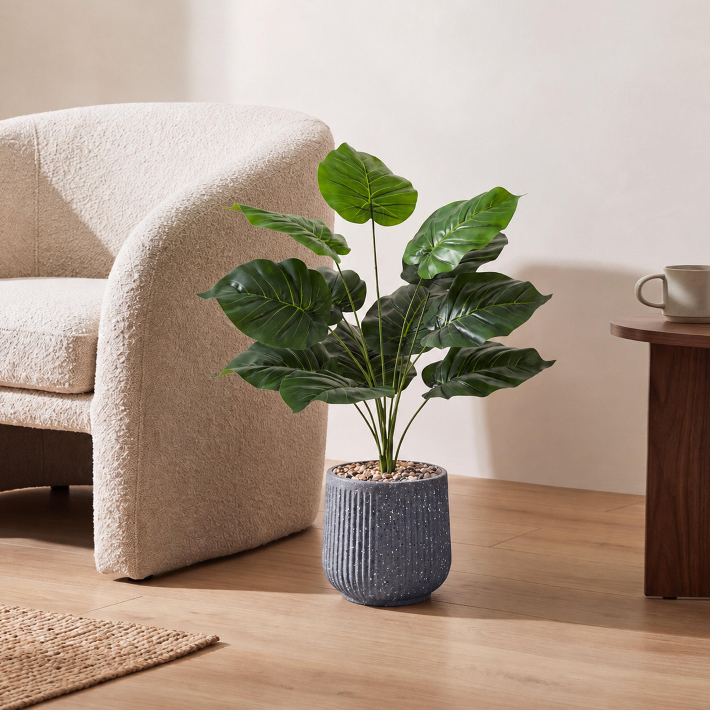 نبتة صناعية بأوراق قلبية في أصيص من ماريا هومز-household-gardenandoutdoor-artificialflowersandplants-flowers-image-1