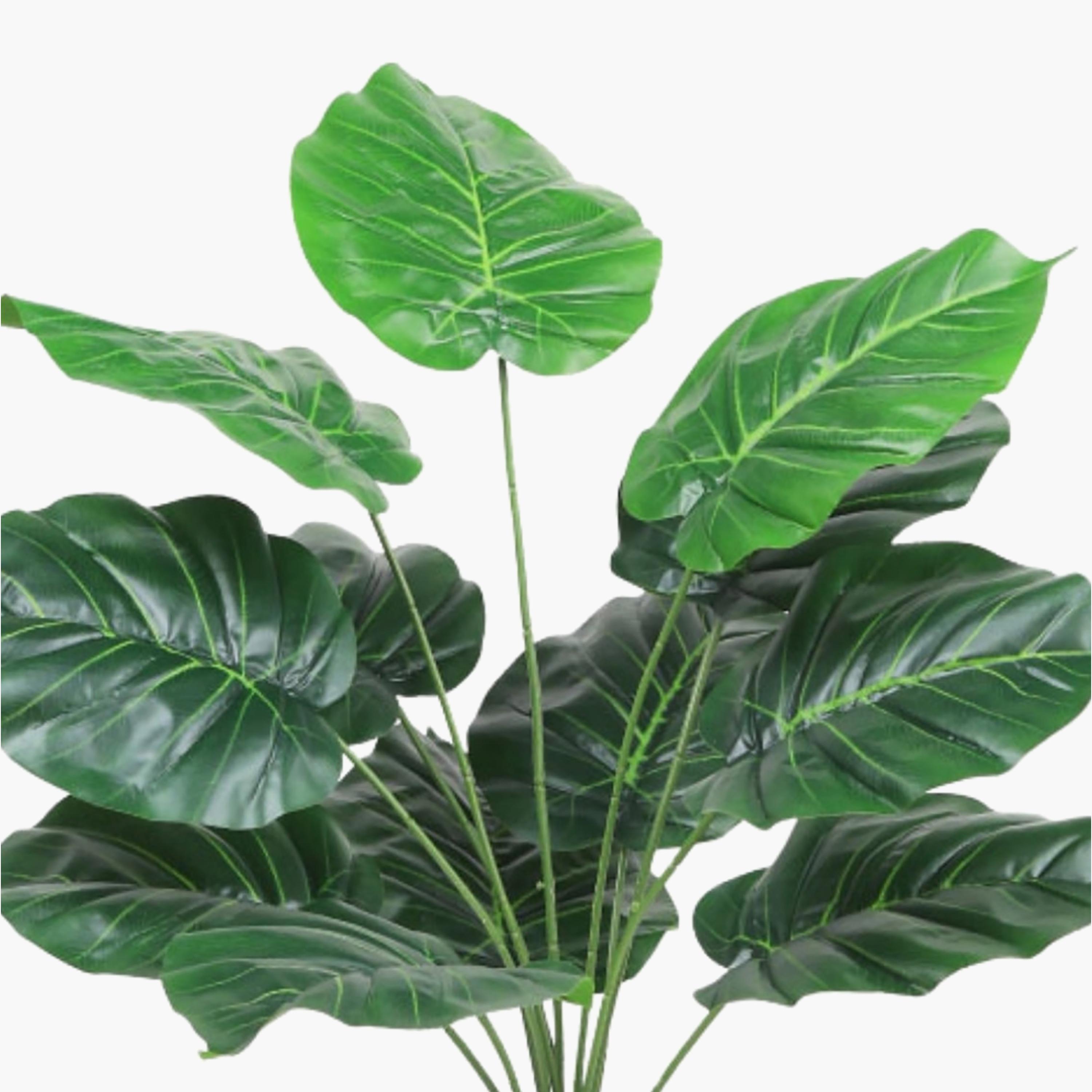 نبتة صناعية بأوراق قلبية في أصيص من ماريا هومز-household-gardenandoutdoor-artificialflowersandplants-flowers-image-2