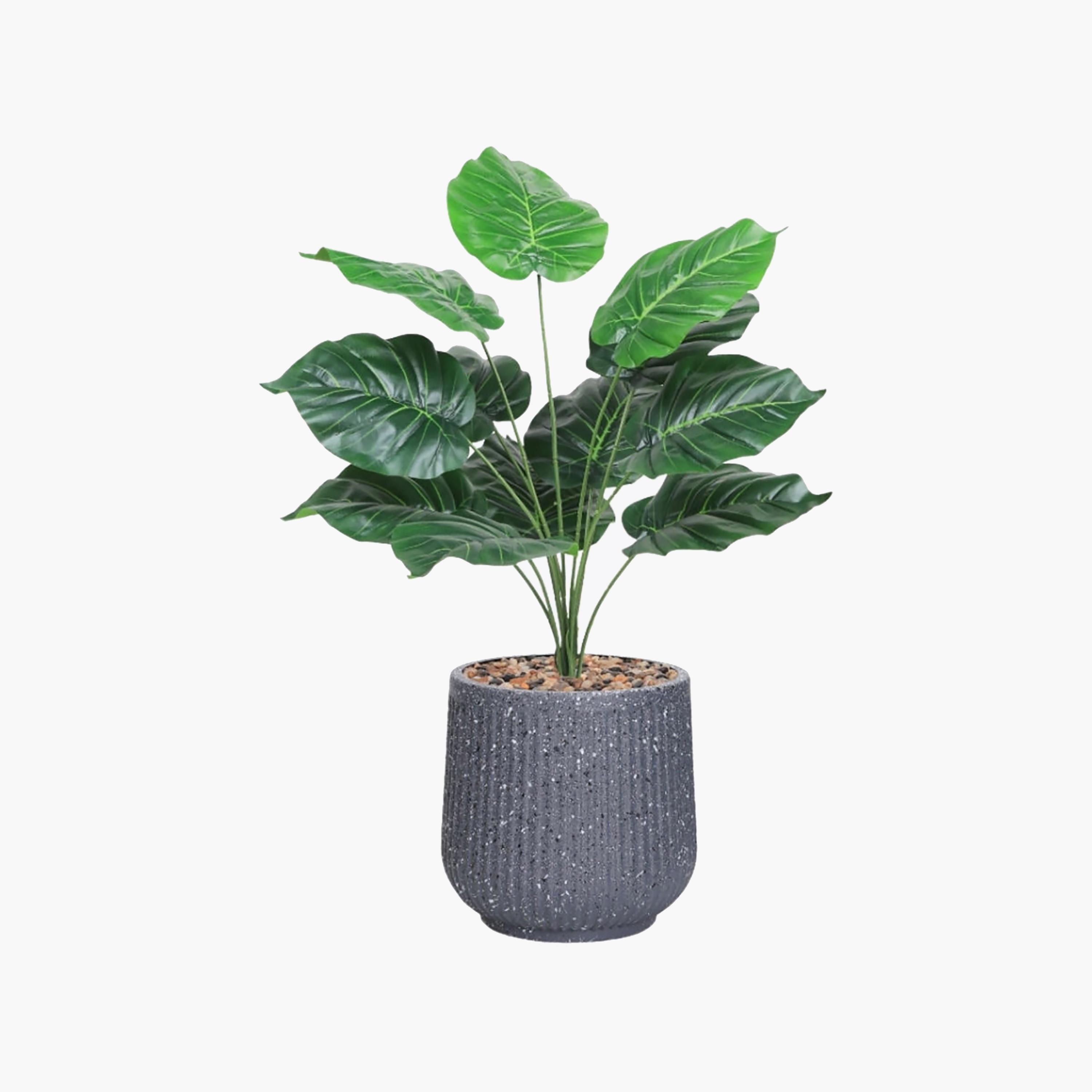 نبتة صناعية بأوراق قلبية في أصيص من ماريا هومز-household-gardenandoutdoor-artificialflowersandplants-flowers-image-3