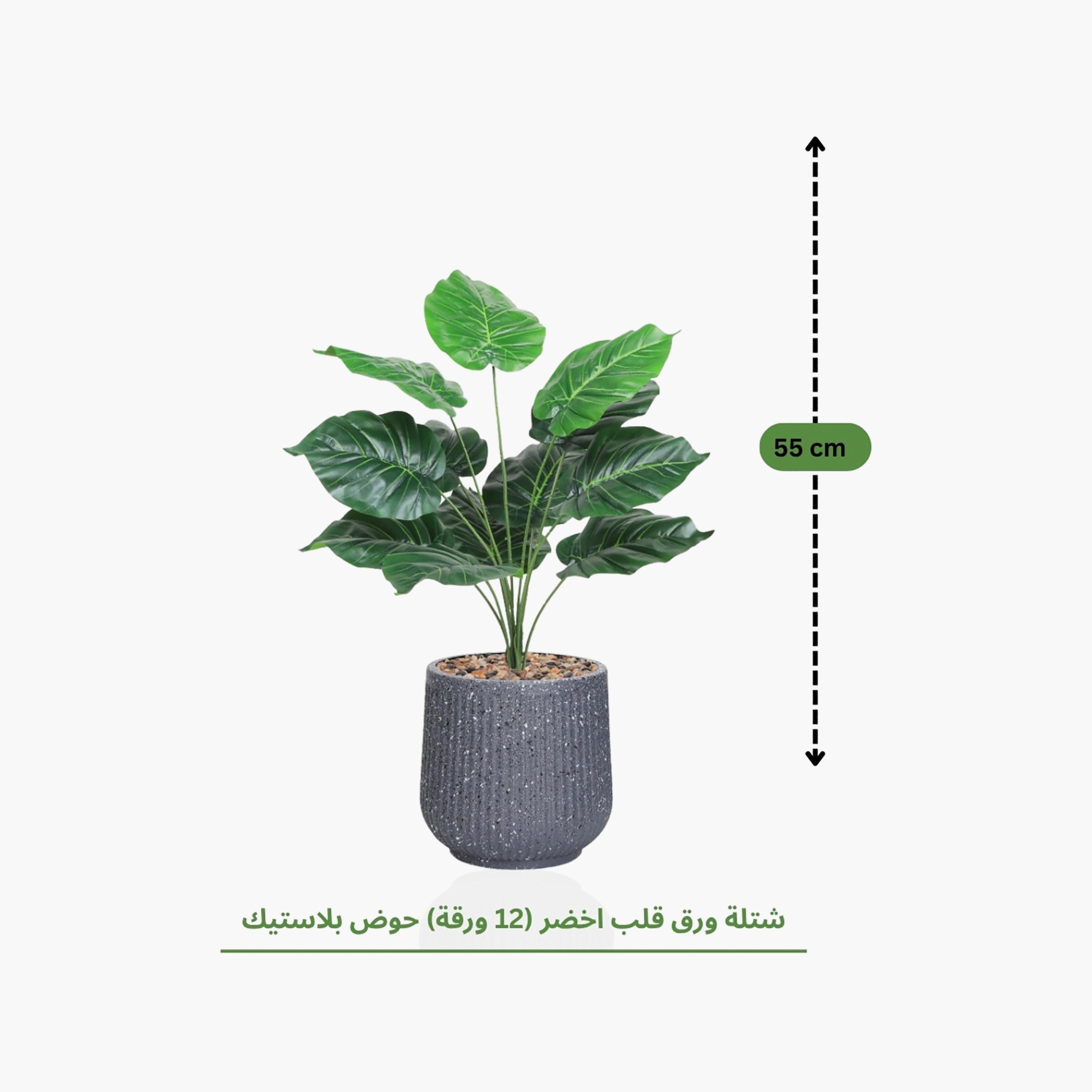 نبتة صناعية بأوراق قلبية في أصيص من ماريا هومز-household-gardenandoutdoor-artificialflowersandplants-flowers-image-4