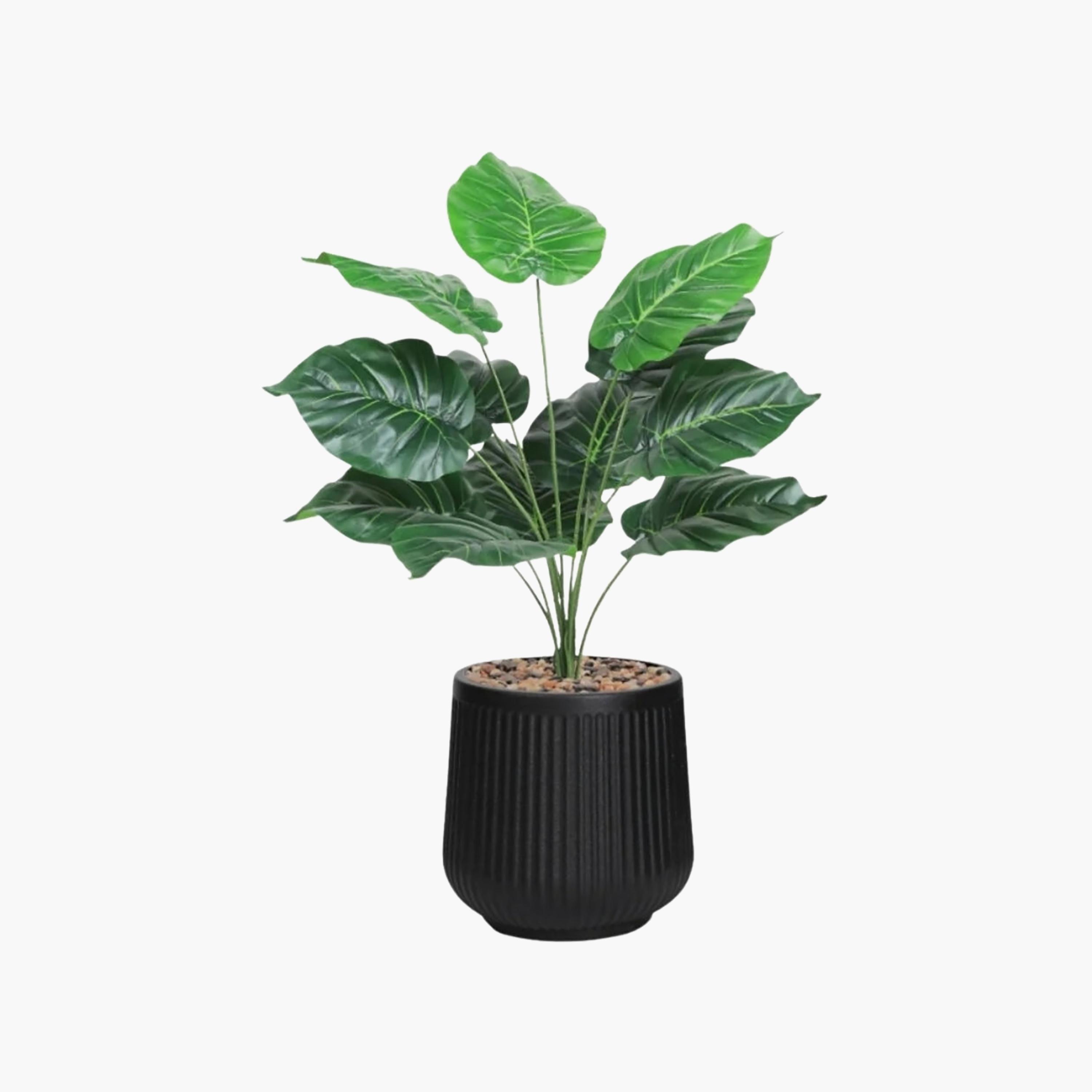 Maria Homes Potted Artificial Heart Leaf Plant-household-gardenandoutdoor-artificialflowersandplants-flowers-image-2