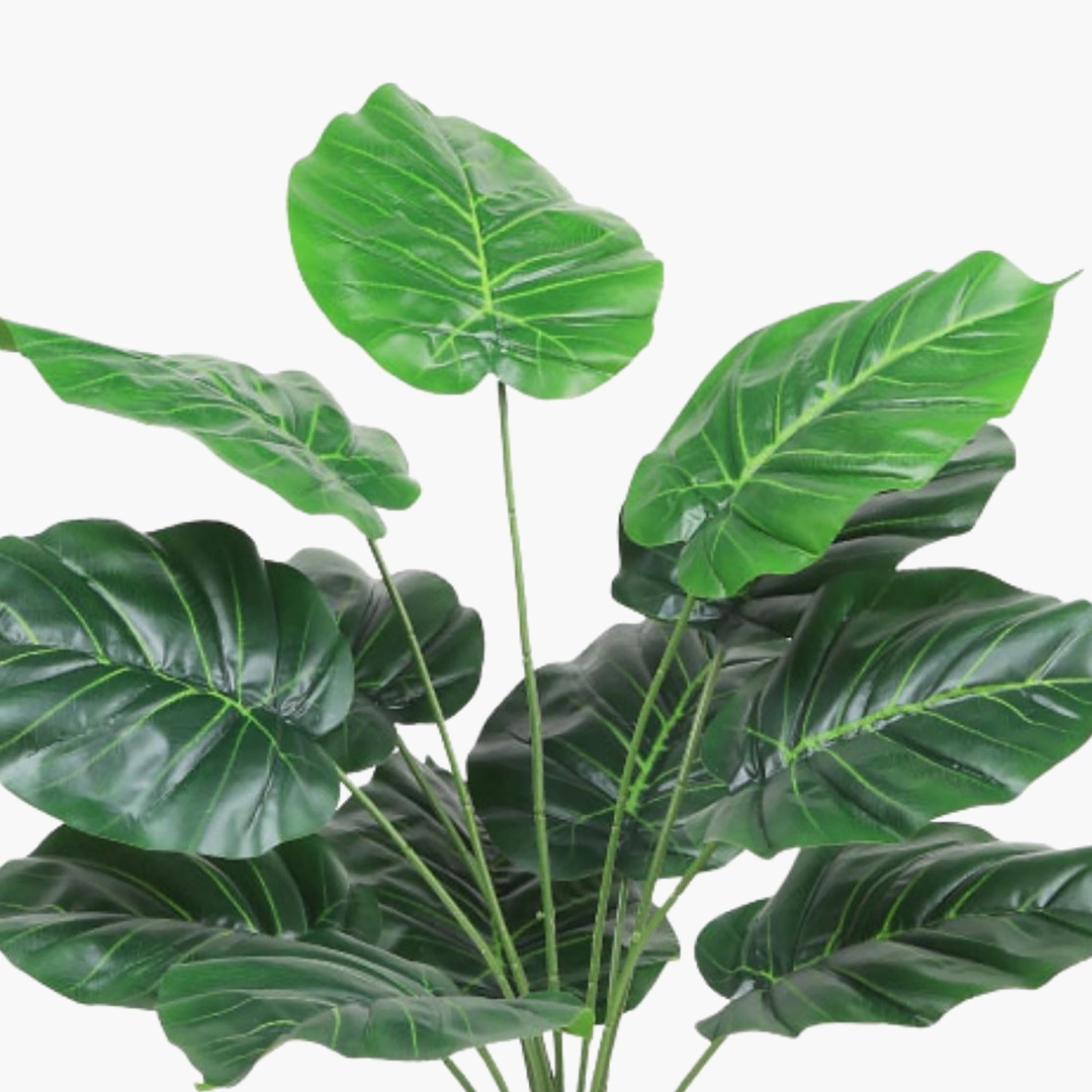 Maria Homes Potted Artificial Heart Leaf Plant-household-gardenandoutdoor-artificialflowersandplants-flowers-image-3