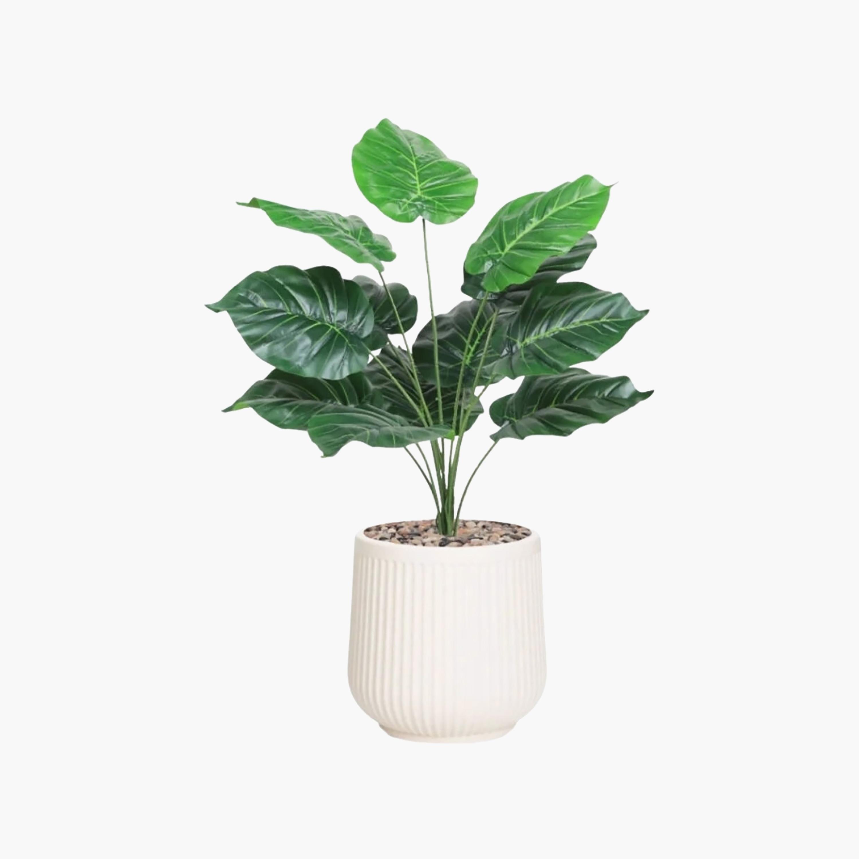 نبتة صناعية بأوراق قلبية في أصيص من ماريا هومز-household-gardenandoutdoor-artificialflowersandplants-flowers-image-2