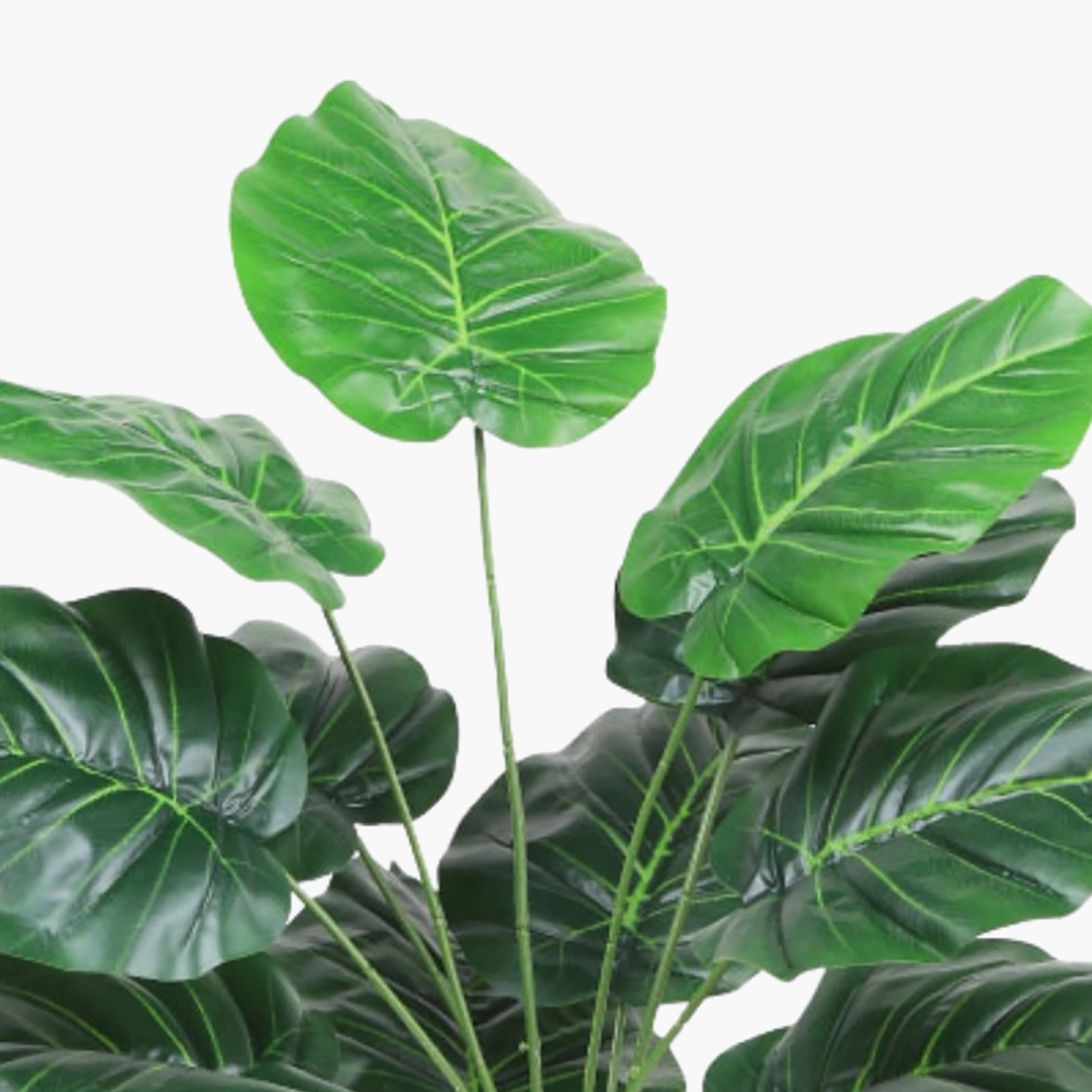 نبتة صناعية بأوراق قلبية في أصيص من ماريا هومز-household-gardenandoutdoor-artificialflowersandplants-flowers-image-3