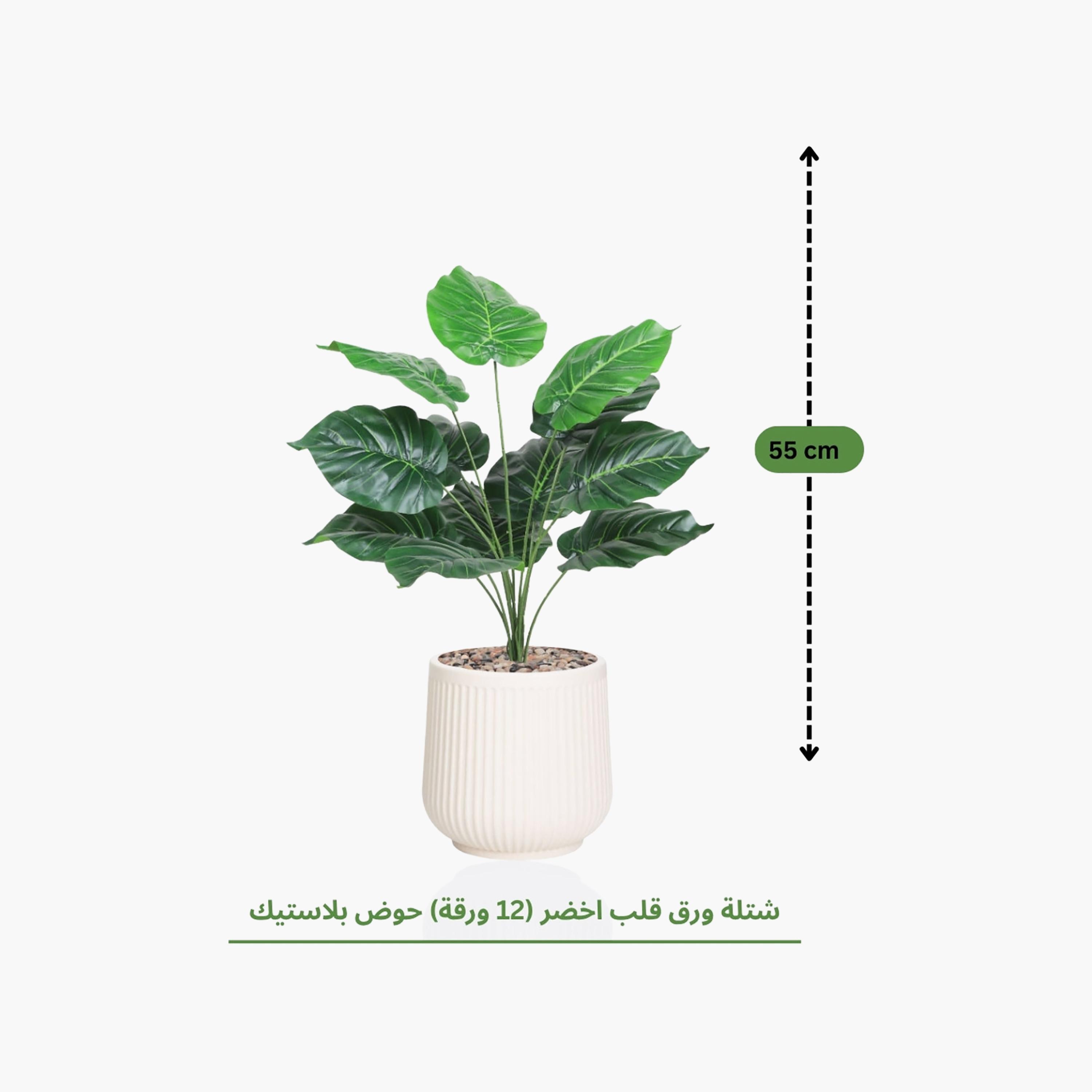 نبتة صناعية بأوراق قلبية في أصيص من ماريا هومز-household-gardenandoutdoor-artificialflowersandplants-flowers-image-4