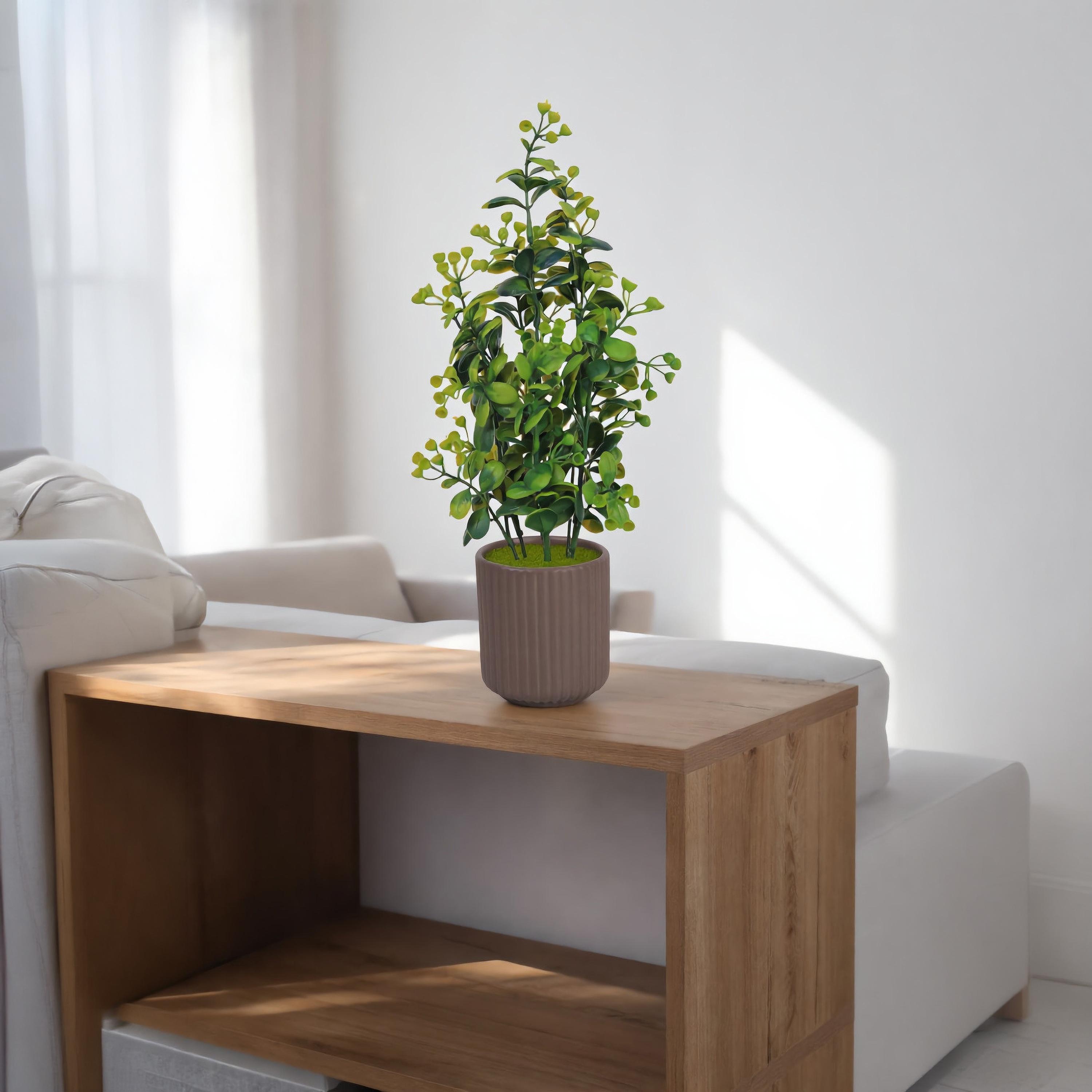 نبات أوراق صناعي مع أصيص سيراميك من ماريا هومز-household-gardenandoutdoor-artificialflowersandplants-flowers-image-1