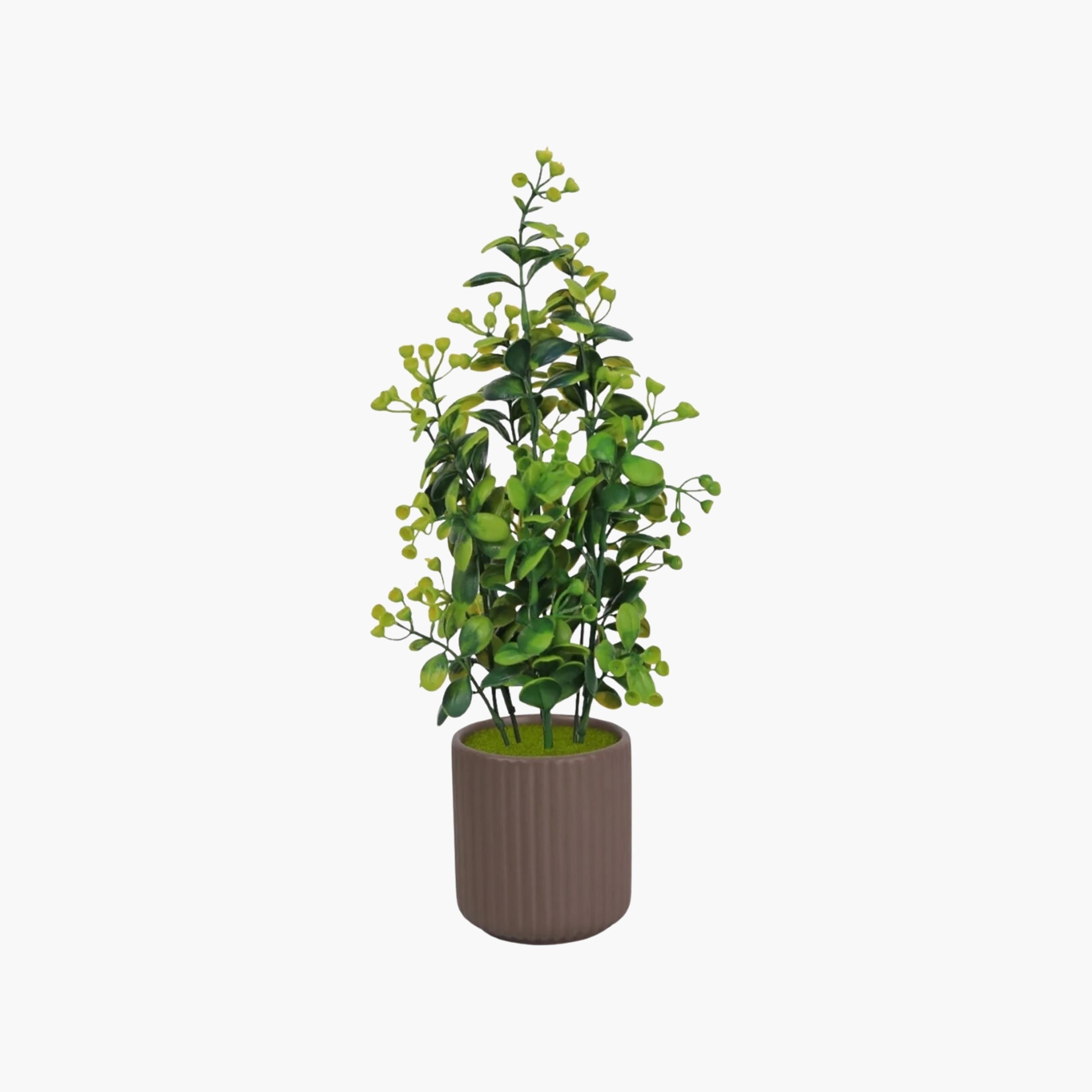 نبات أوراق صناعي مع أصيص سيراميك من ماريا هومز-household-gardenandoutdoor-artificialflowersandplants-flowers-image-2