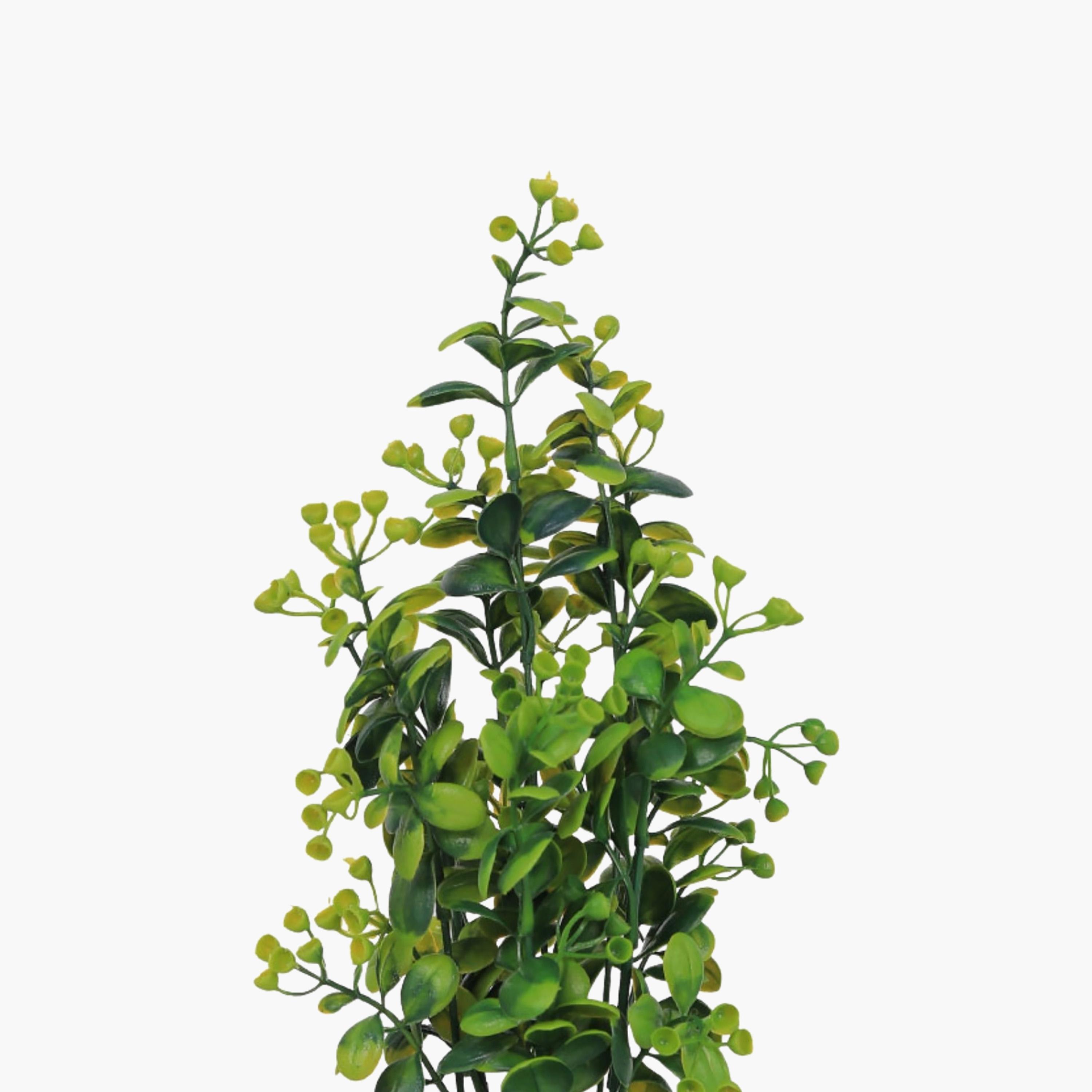 نبات أوراق صناعي مع أصيص سيراميك من ماريا هومز-household-gardenandoutdoor-artificialflowersandplants-flowers-image-3