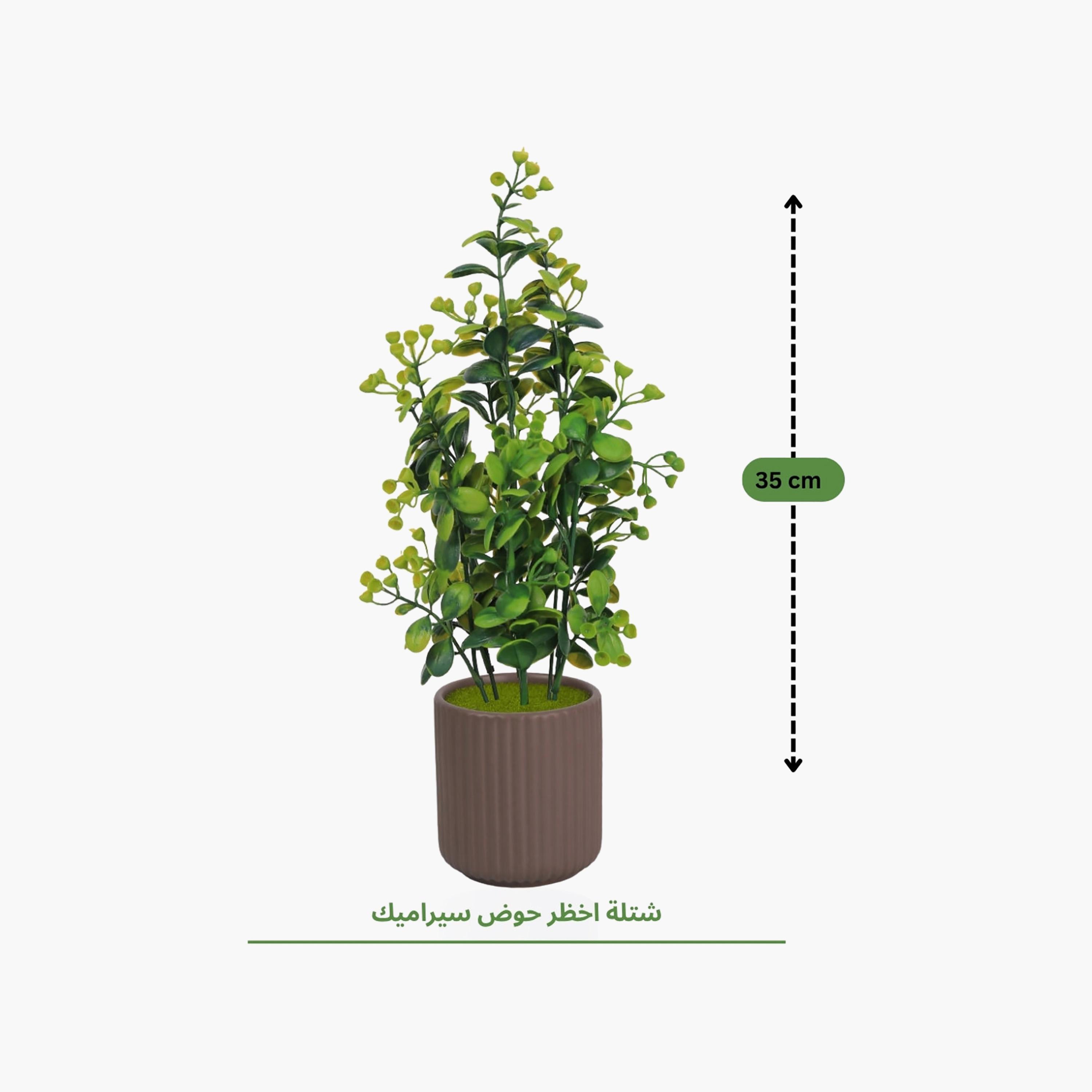 نبات أوراق صناعي مع أصيص سيراميك من ماريا هومز-household-gardenandoutdoor-artificialflowersandplants-flowers-image-4