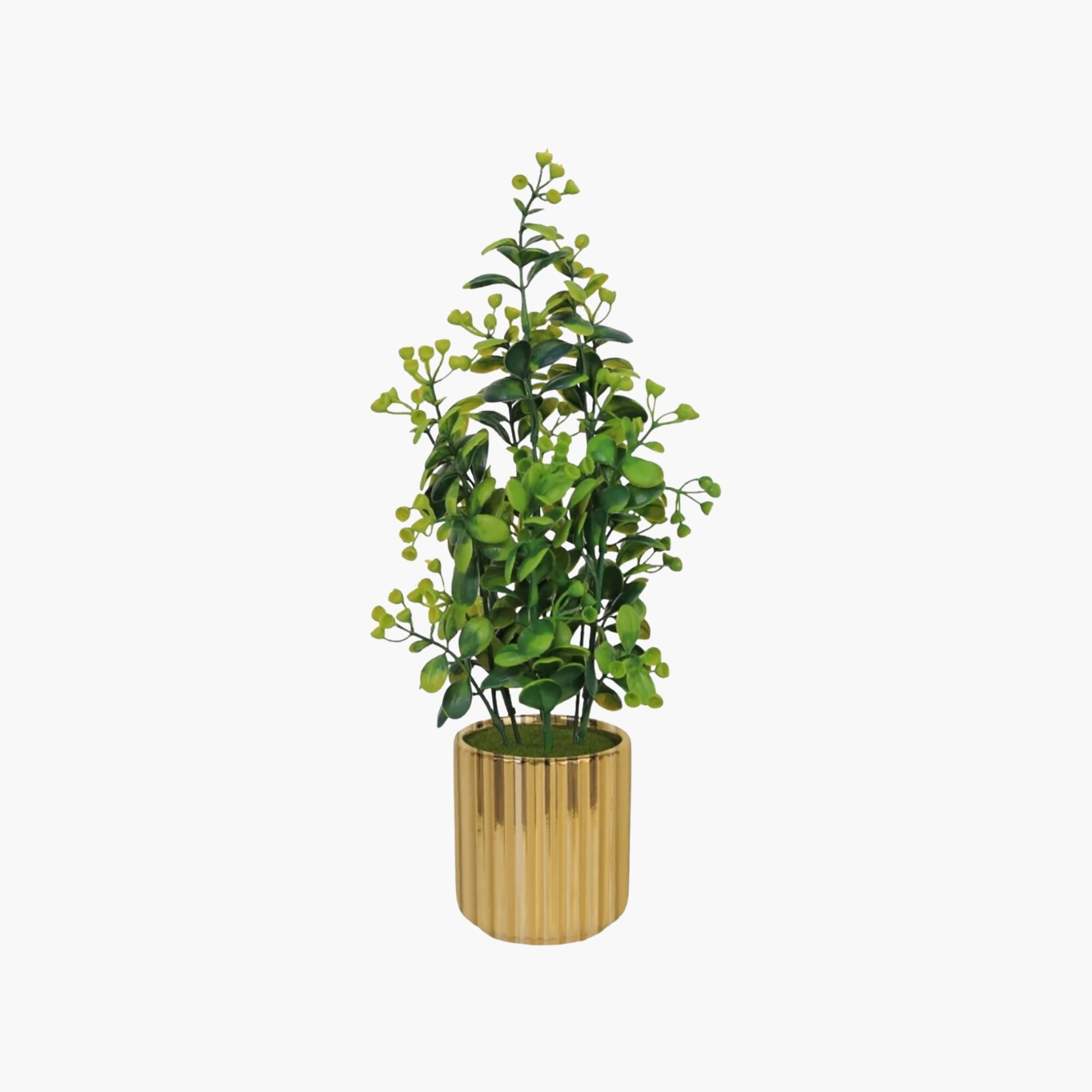 نبات أوراق صناعي مع أصيص سيراميك من ماريا هومز-household-gardenandoutdoor-artificialflowersandplants-flowers-image-2