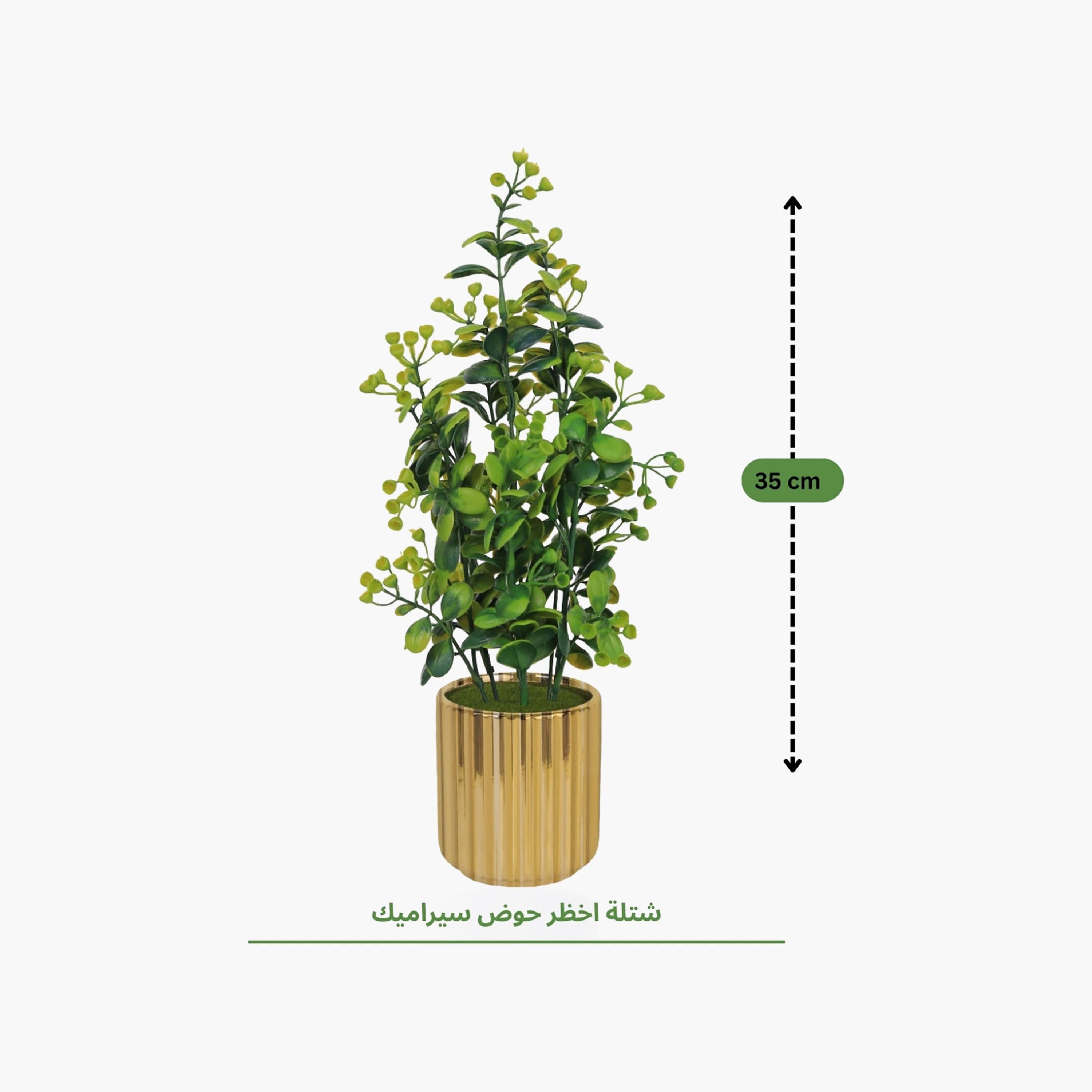 نبات أوراق صناعي مع أصيص سيراميك من ماريا هومز-household-gardenandoutdoor-artificialflowersandplants-flowers-image-4