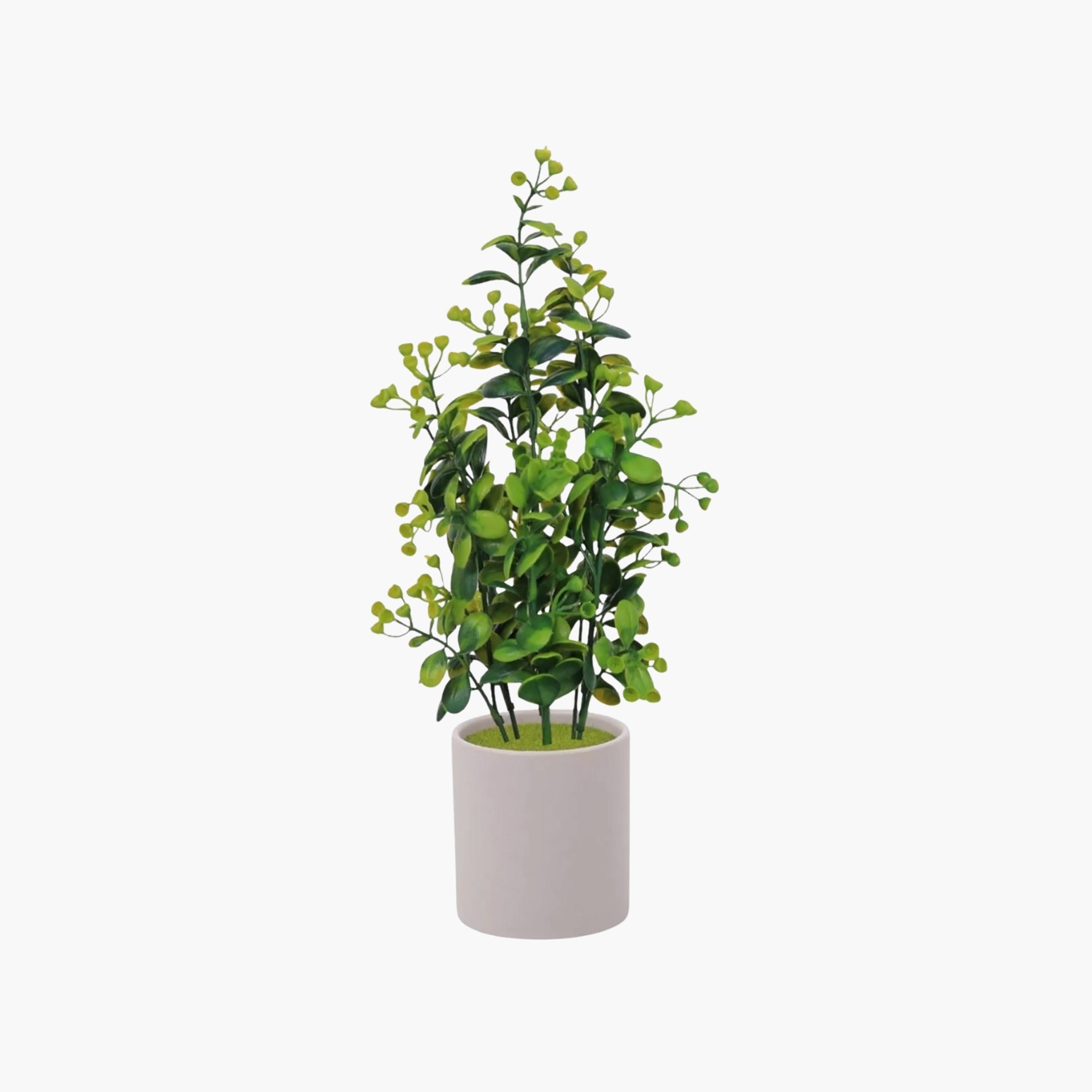 نبات أوراق صناعي أبيض بأصيص سيراميك من ماريا هومز-household-gardenandoutdoor-artificialflowersandplants-flowers-image-2