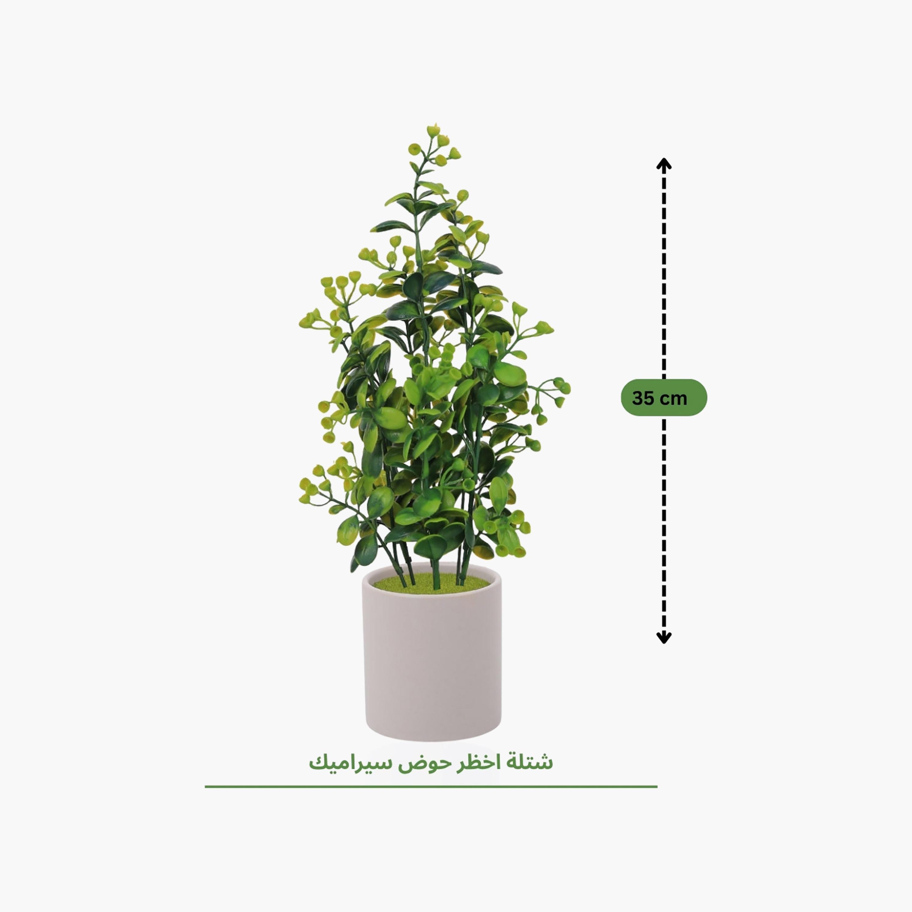 نبات أوراق صناعي أبيض بأصيص سيراميك من ماريا هومز-household-gardenandoutdoor-artificialflowersandplants-flowers-image-4