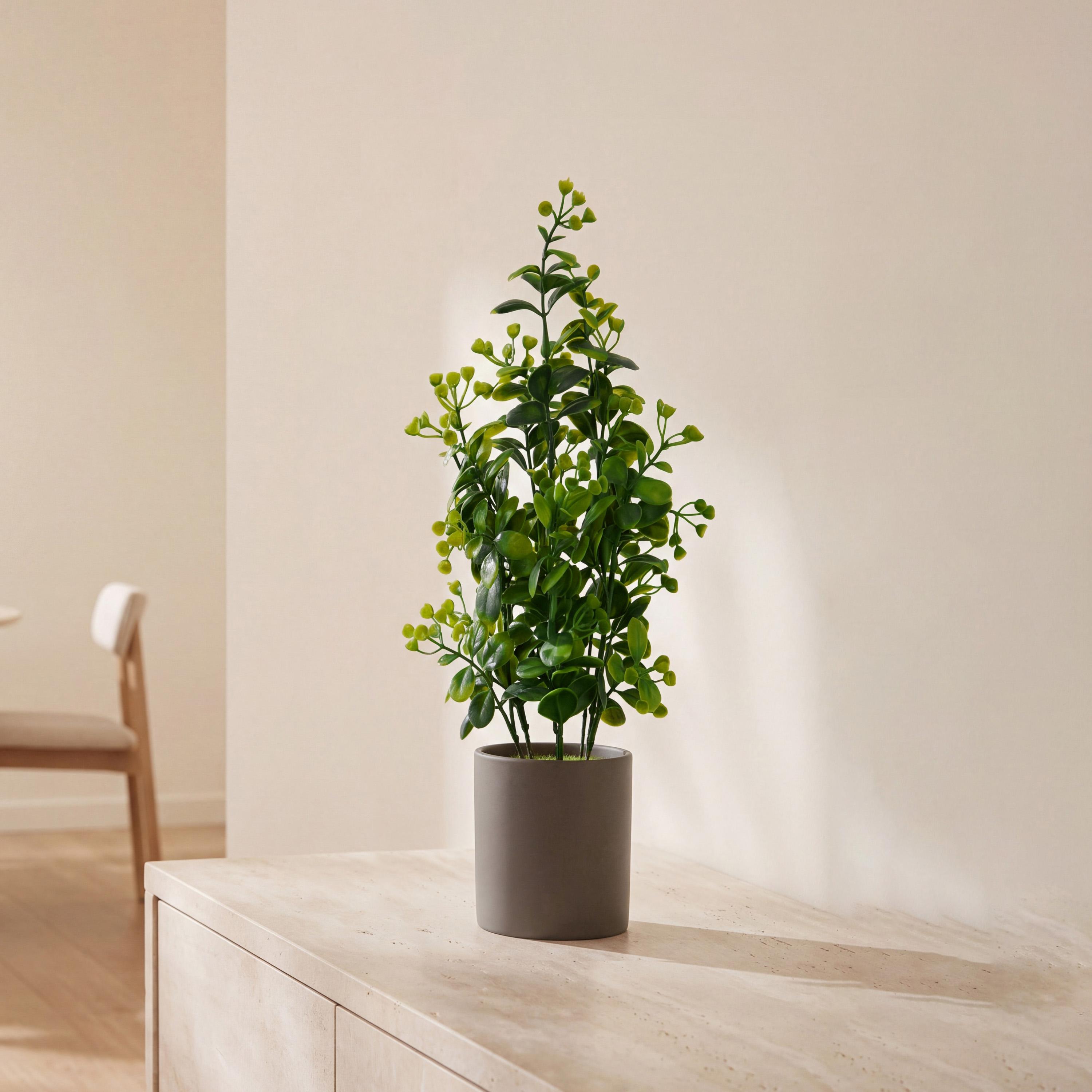 نبات أوراق صناعي مع أصيص سيراميك من ماريا هومز-household-gardenandoutdoor-artificialflowersandplants-flowers-image-1