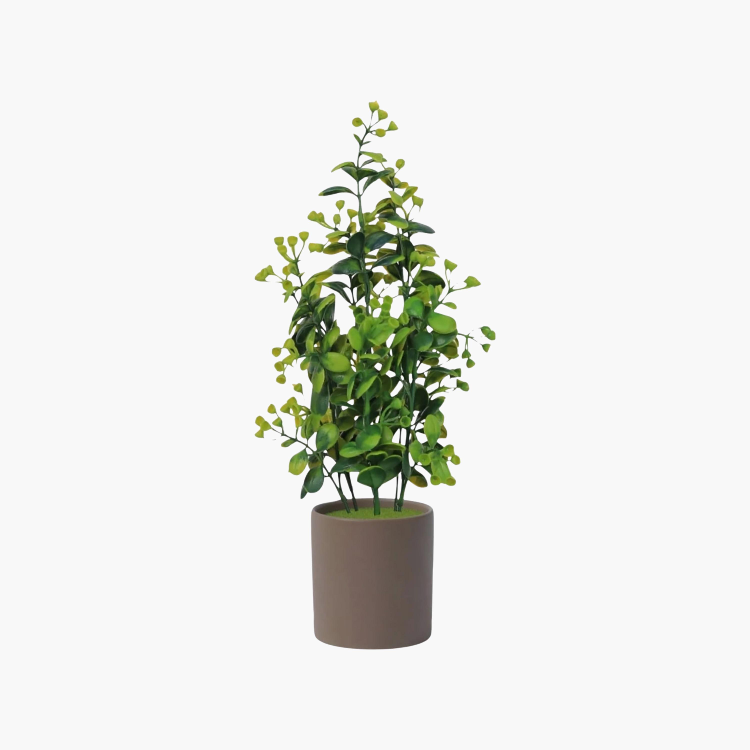 نبات أوراق صناعي مع أصيص سيراميك من ماريا هومز-household-gardenandoutdoor-artificialflowersandplants-flowers-image-2