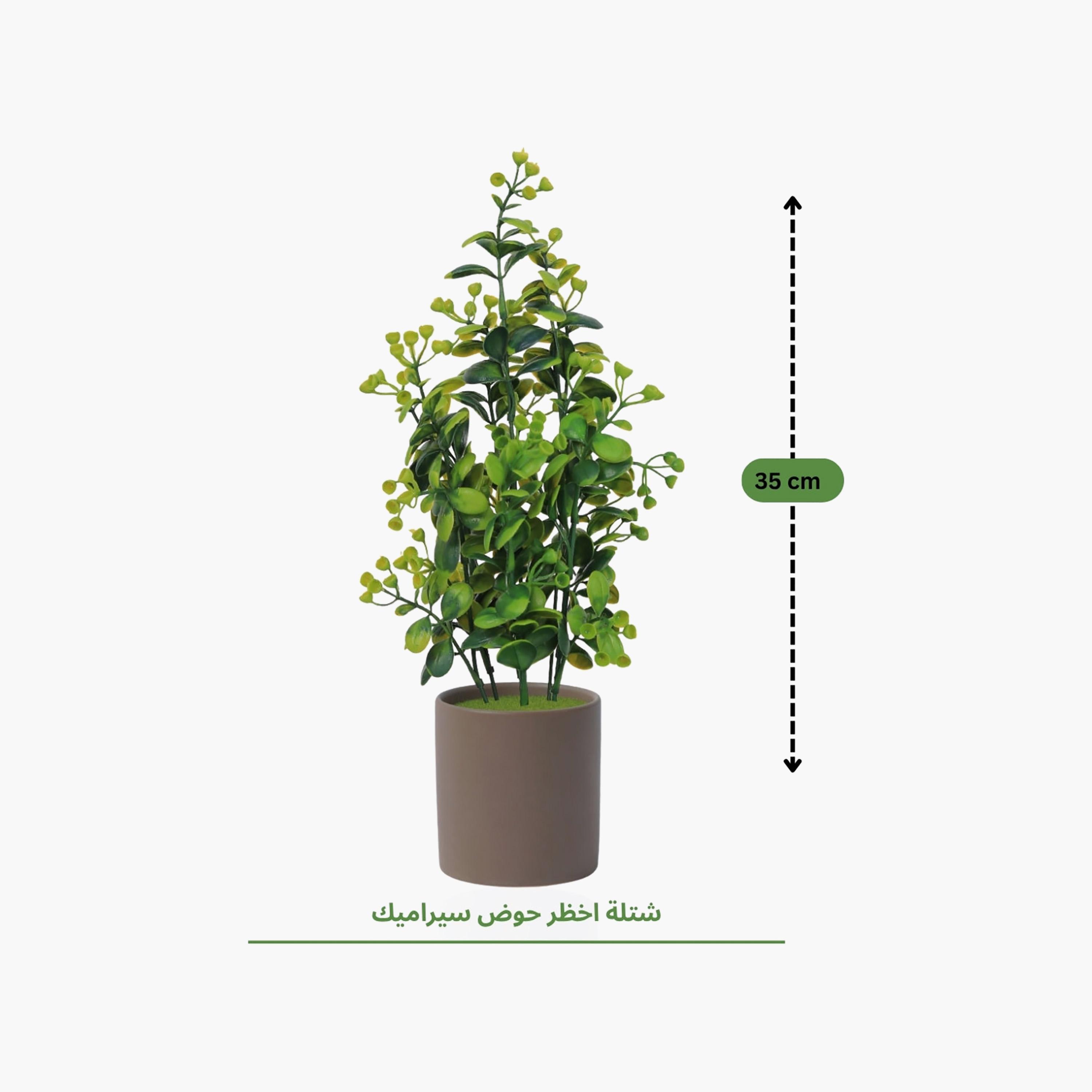 نبات أوراق صناعي مع أصيص سيراميك من ماريا هومز-household-gardenandoutdoor-artificialflowersandplants-flowers-image-4